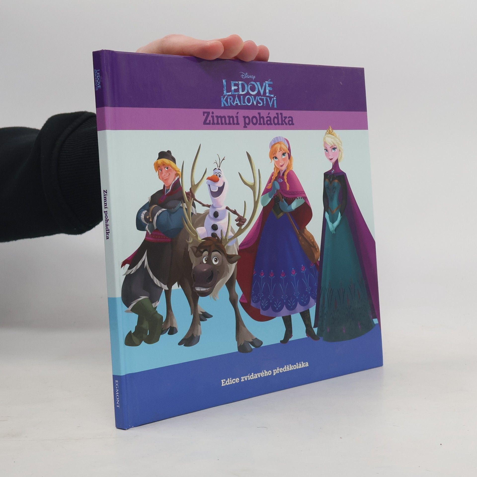 AA.VV. Ledové království. Zimní pohádka.