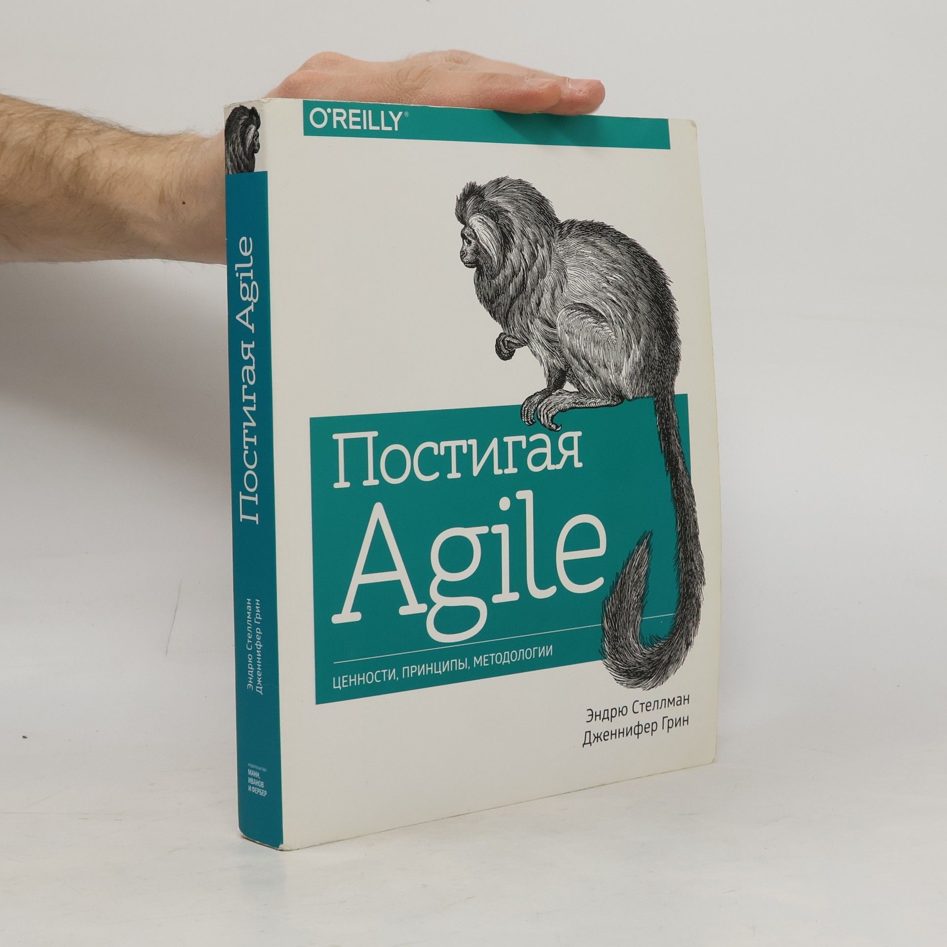 Andrew Stellman Постигая Agile