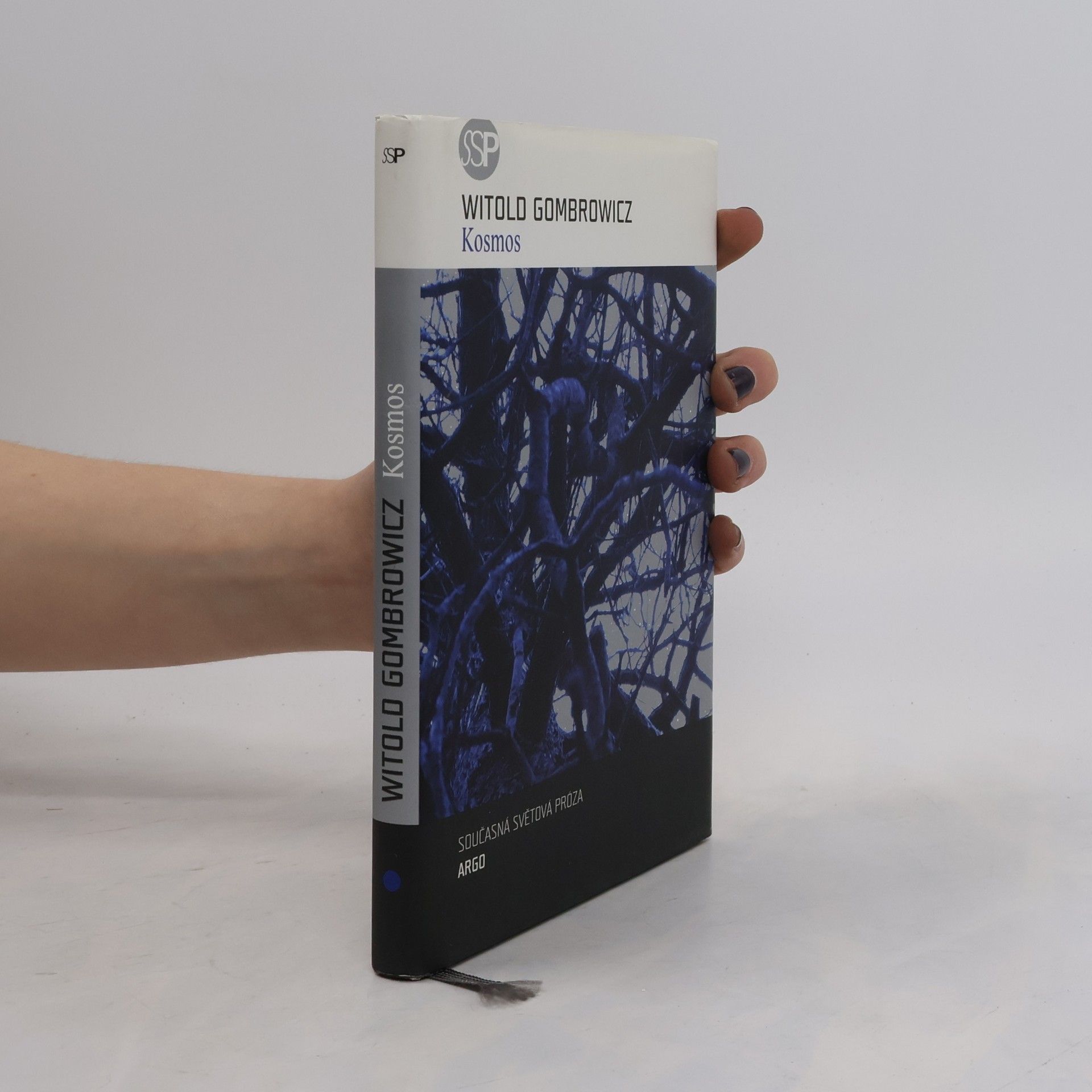 Witold Marian Gombrowicz Kosmos