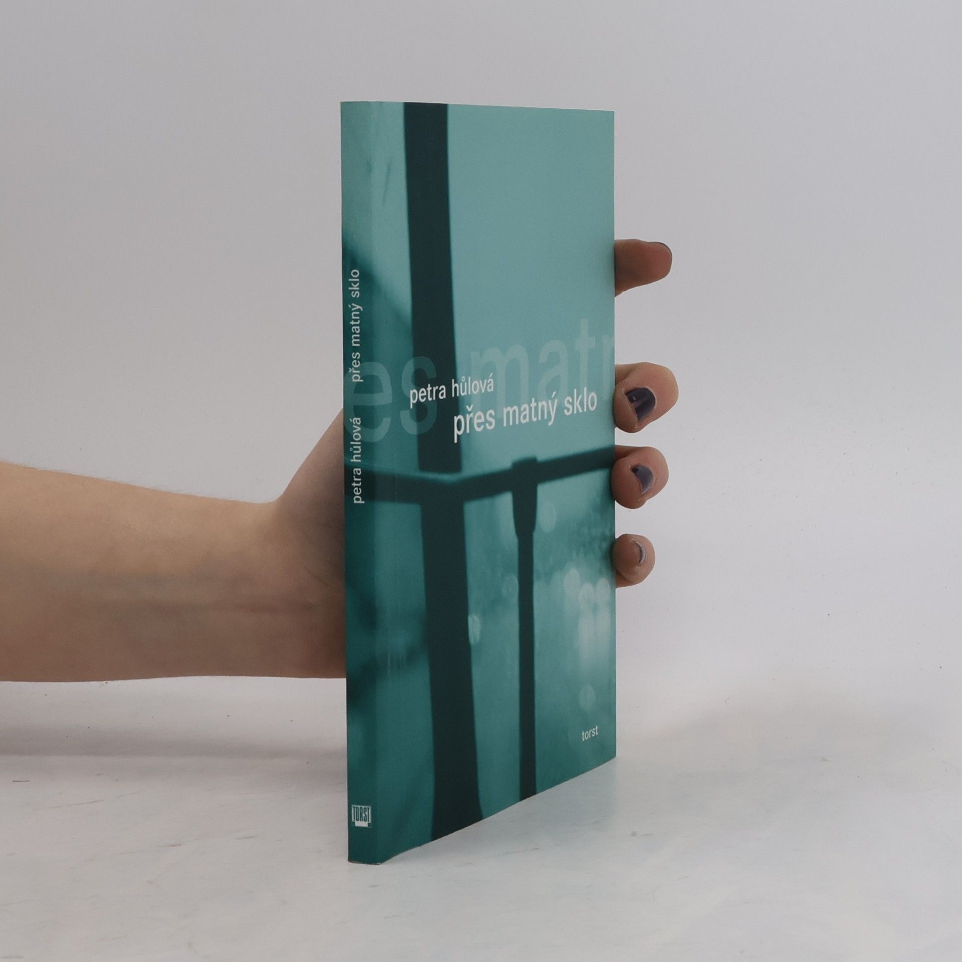 Petra Hůlová Přes matný sklo