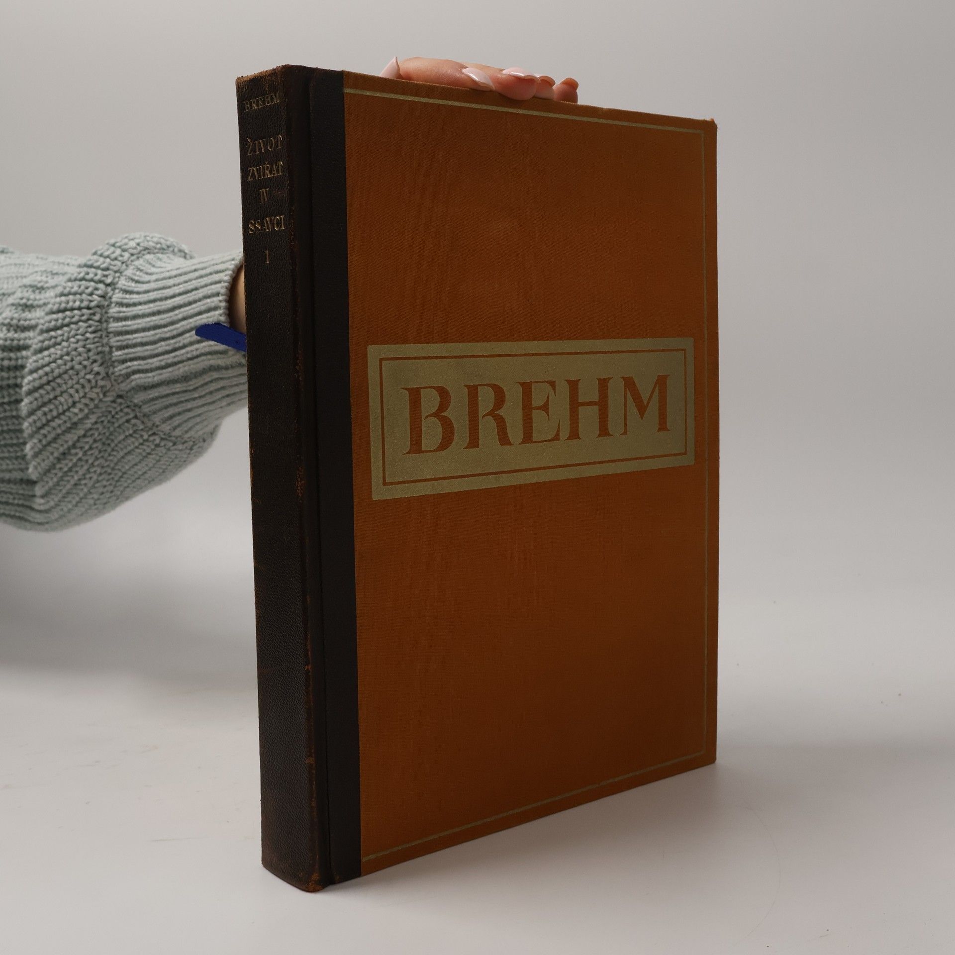 Alfred Edmund Brehm Brehmův život zvířat, díl IV., savci 1