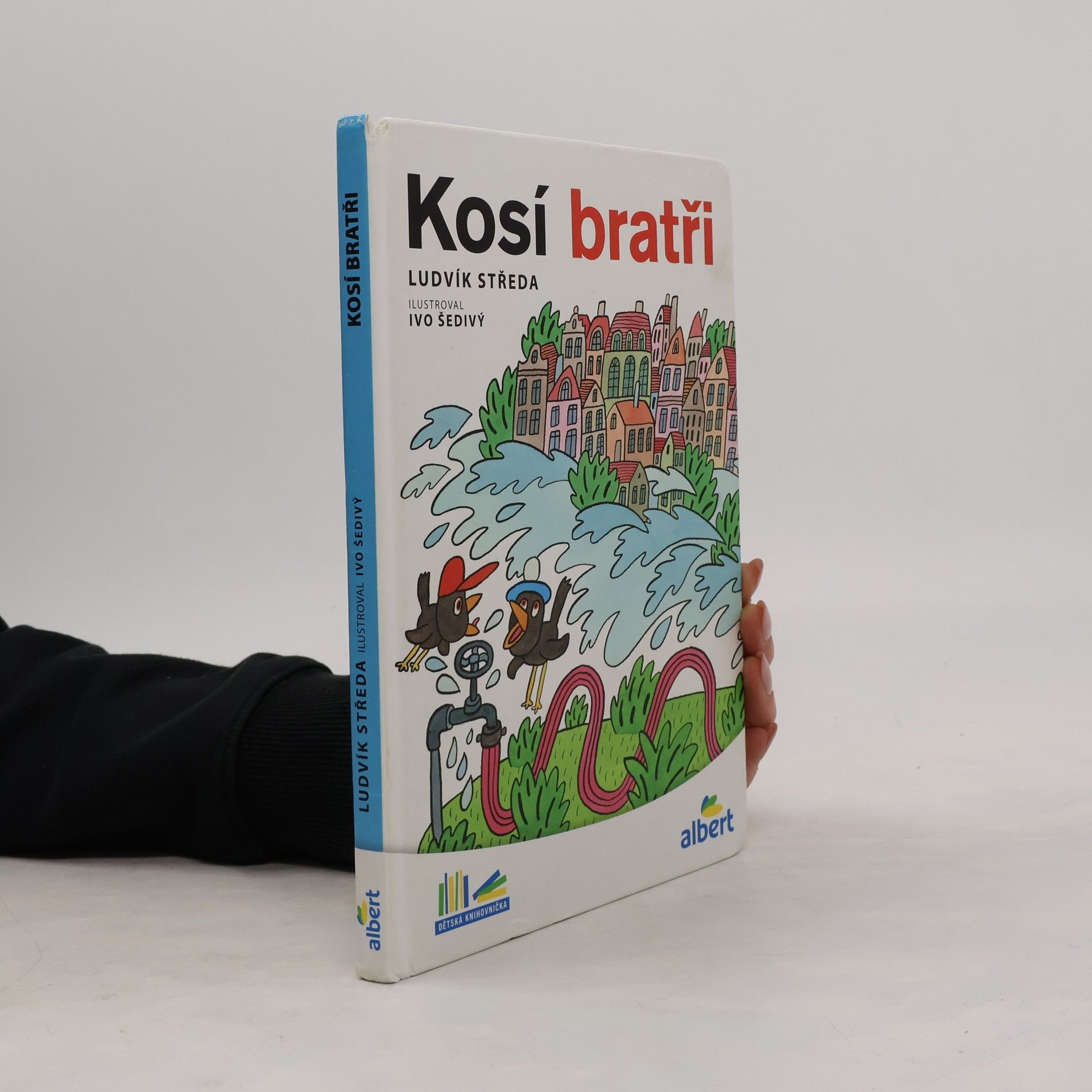 Ludvík Středa Kosí bratři