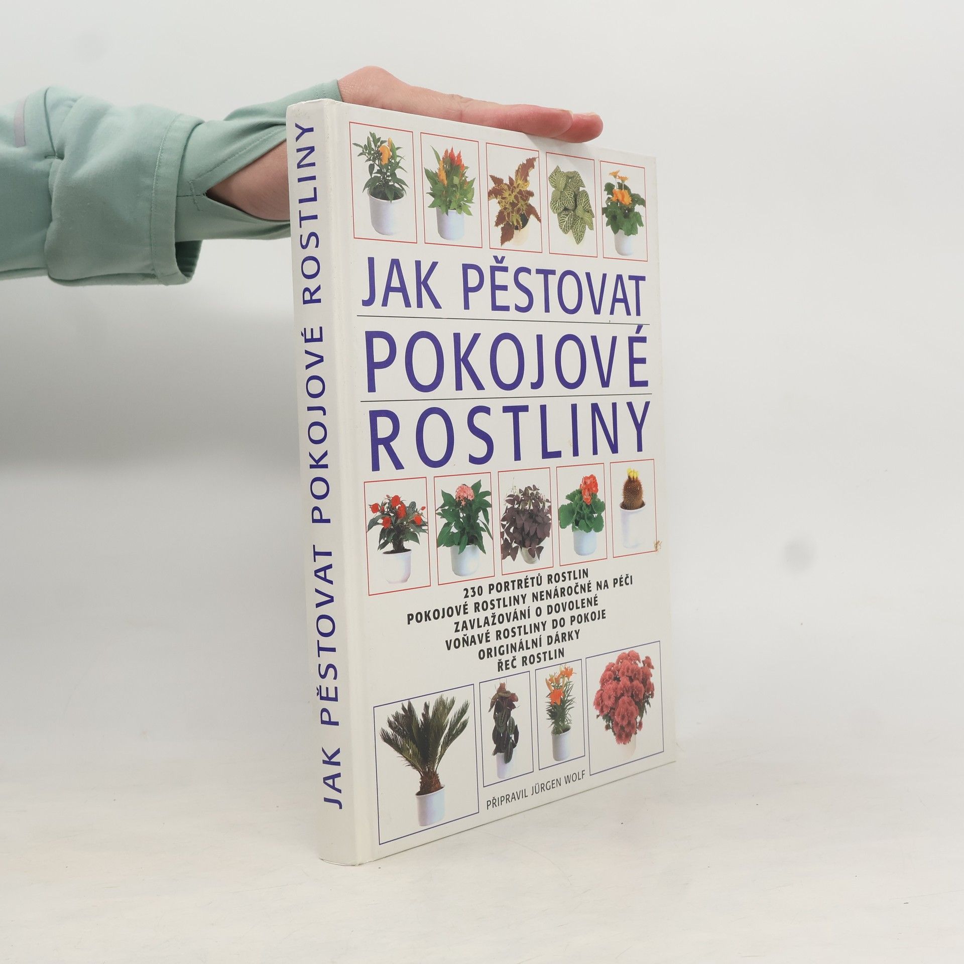 Jürgen Wolff Jak pěstovat pokojové rostliny