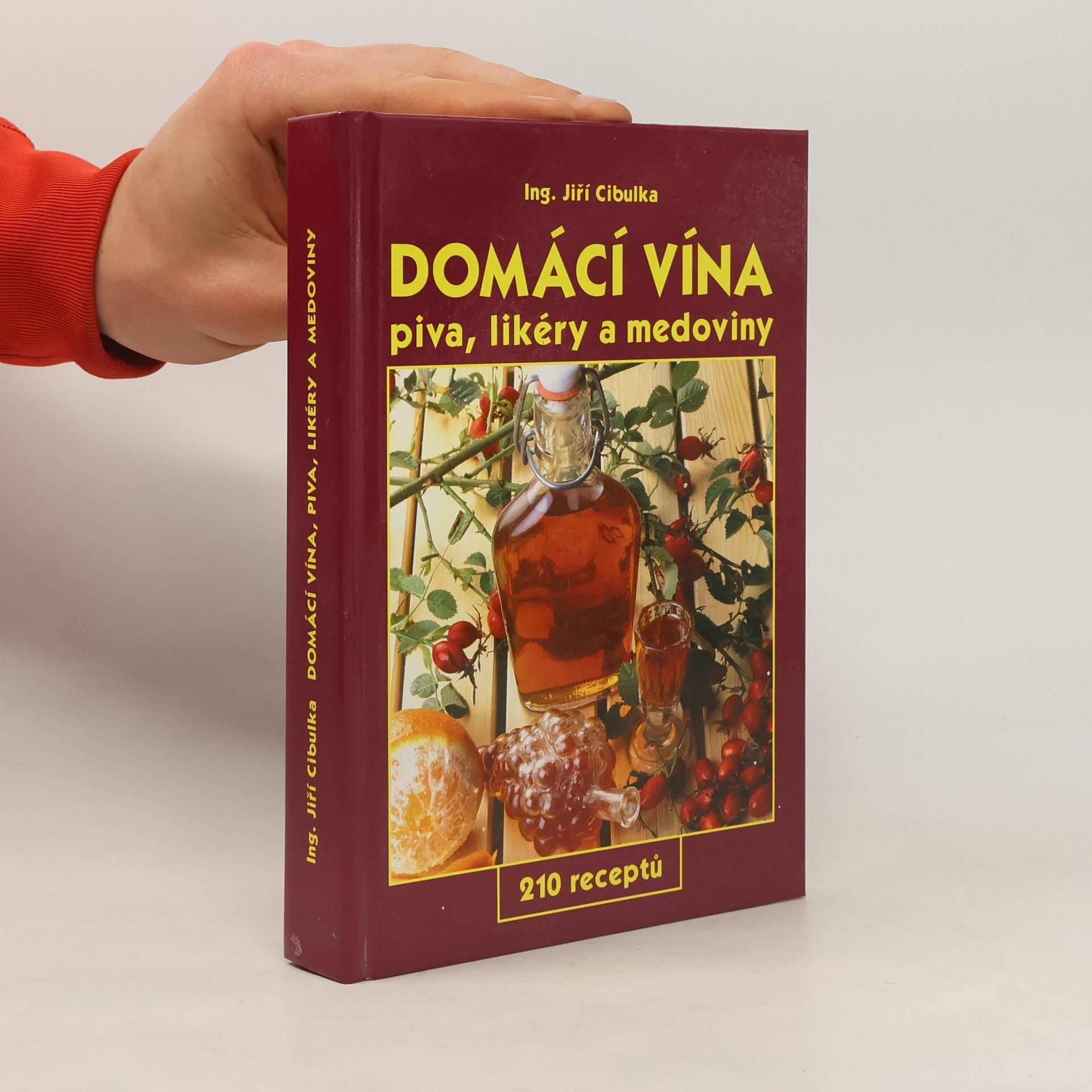 Jiří Cibulka Domácí vína: Piva, likéry a medoviny