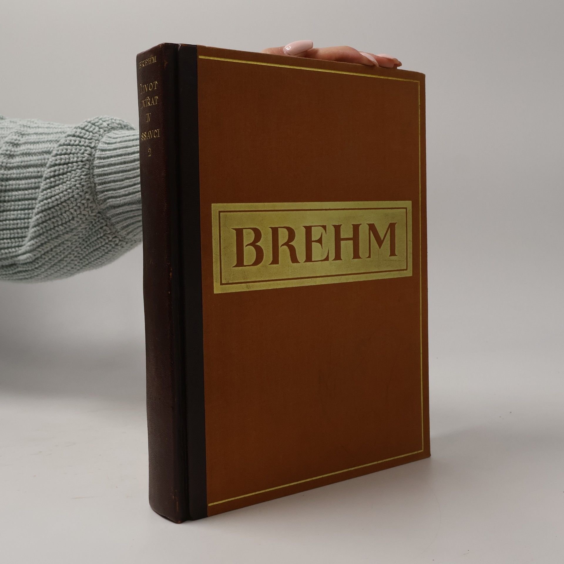 Alfred Edmund Brehm Brehmův život zvířat, díl IV - Ssvavci, svazek II.