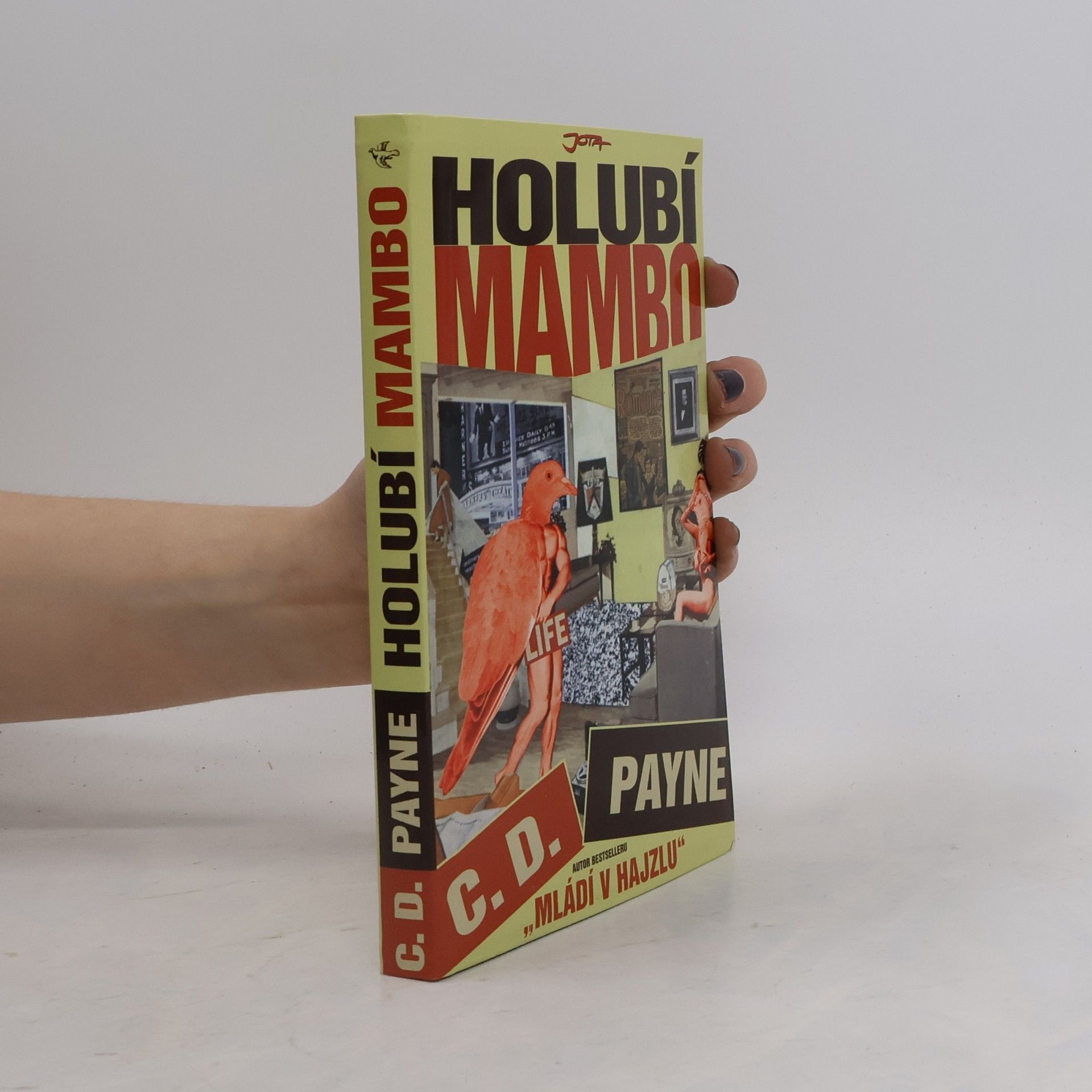 Tamara Váňová Holubí mambo