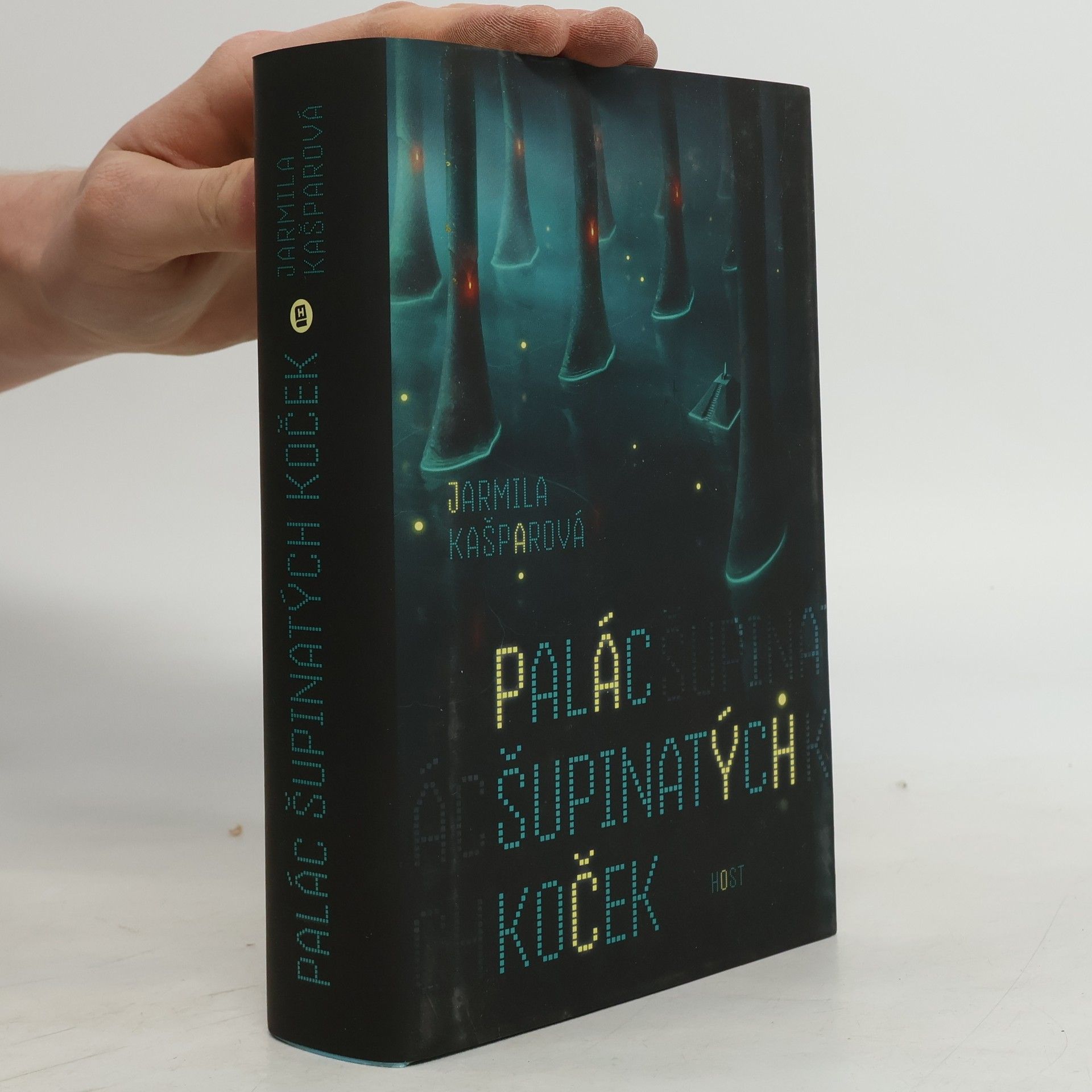 Jarmila Kašparová Palác šupinatých koček