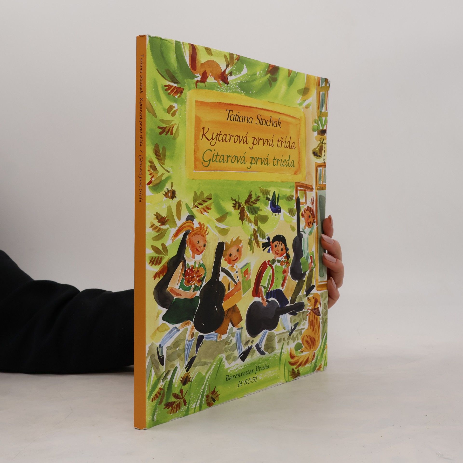 Kytarová první třída