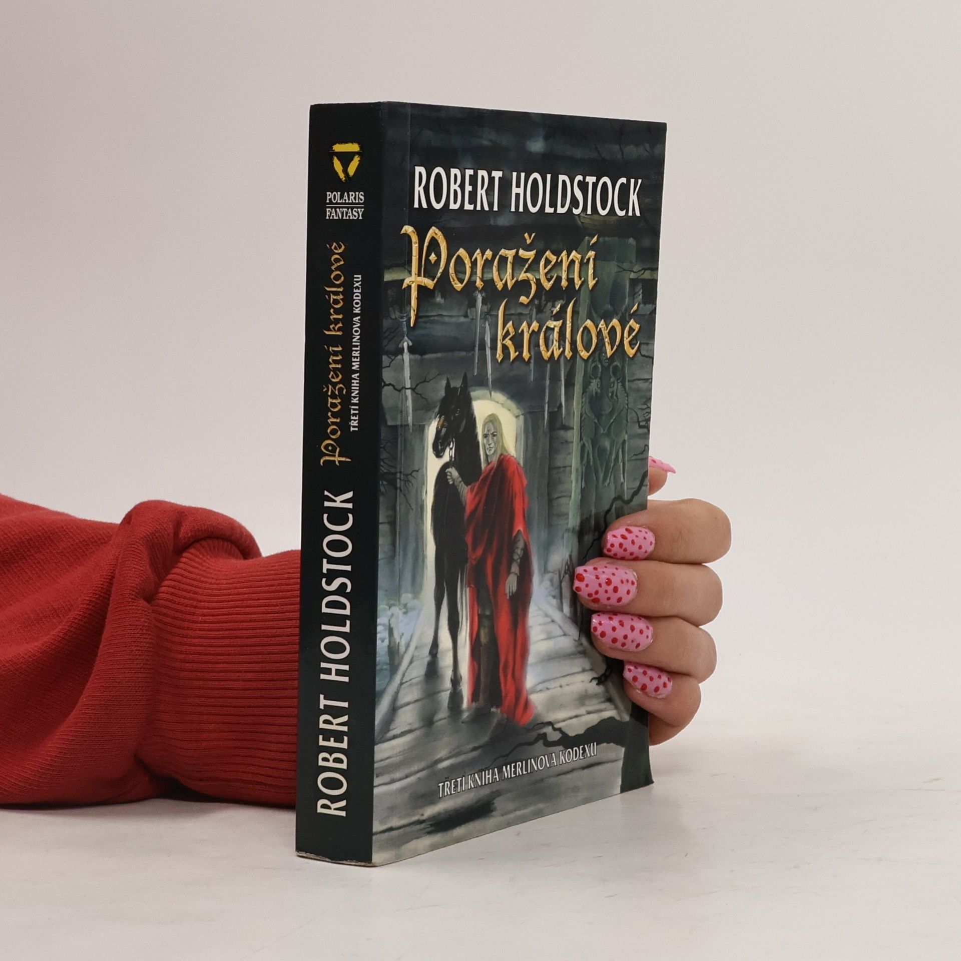 Robert Holdstock Poražení králové : třetí kniha Merlinova kodexu