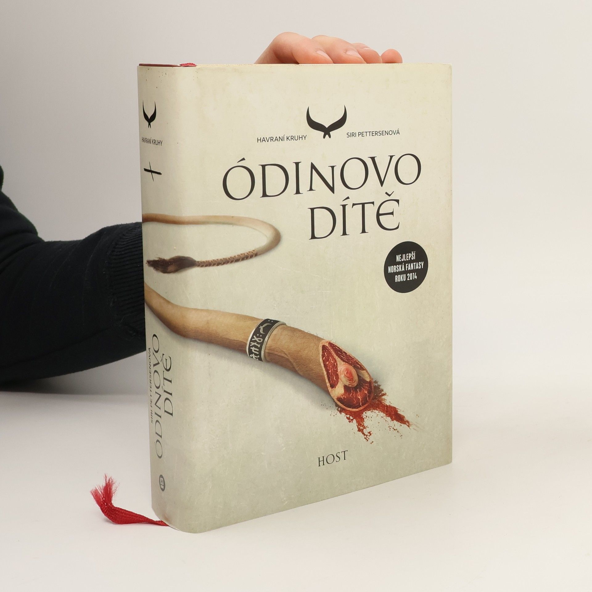 Siri Pettersenová Havraní kruhy. Ódinovo dítě