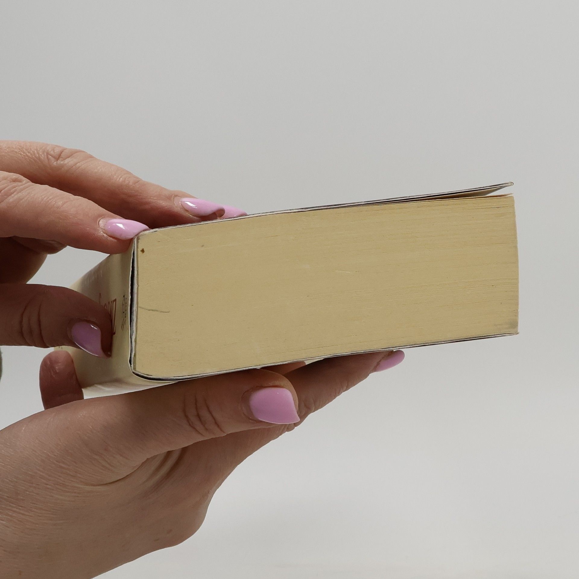 Markus Zusak Zlodějka knih
