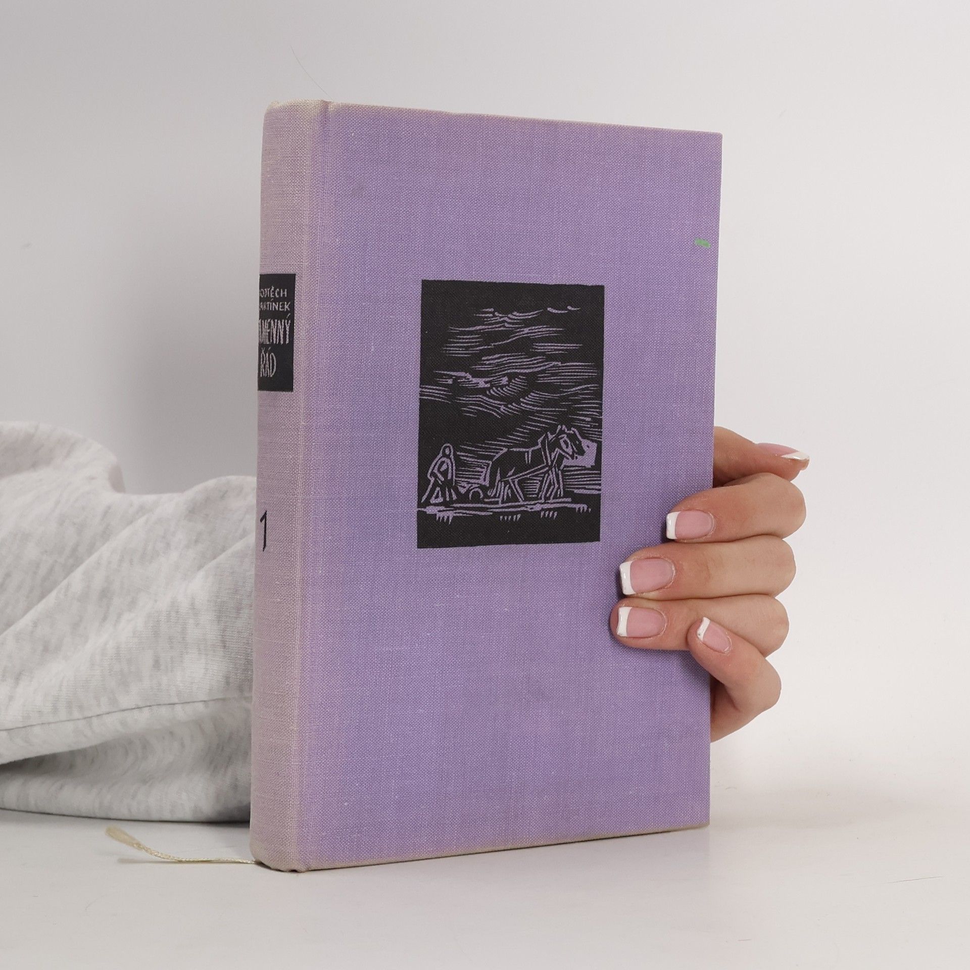 Vojtěch Martínek Kamenný řád - I. Kamenný řád