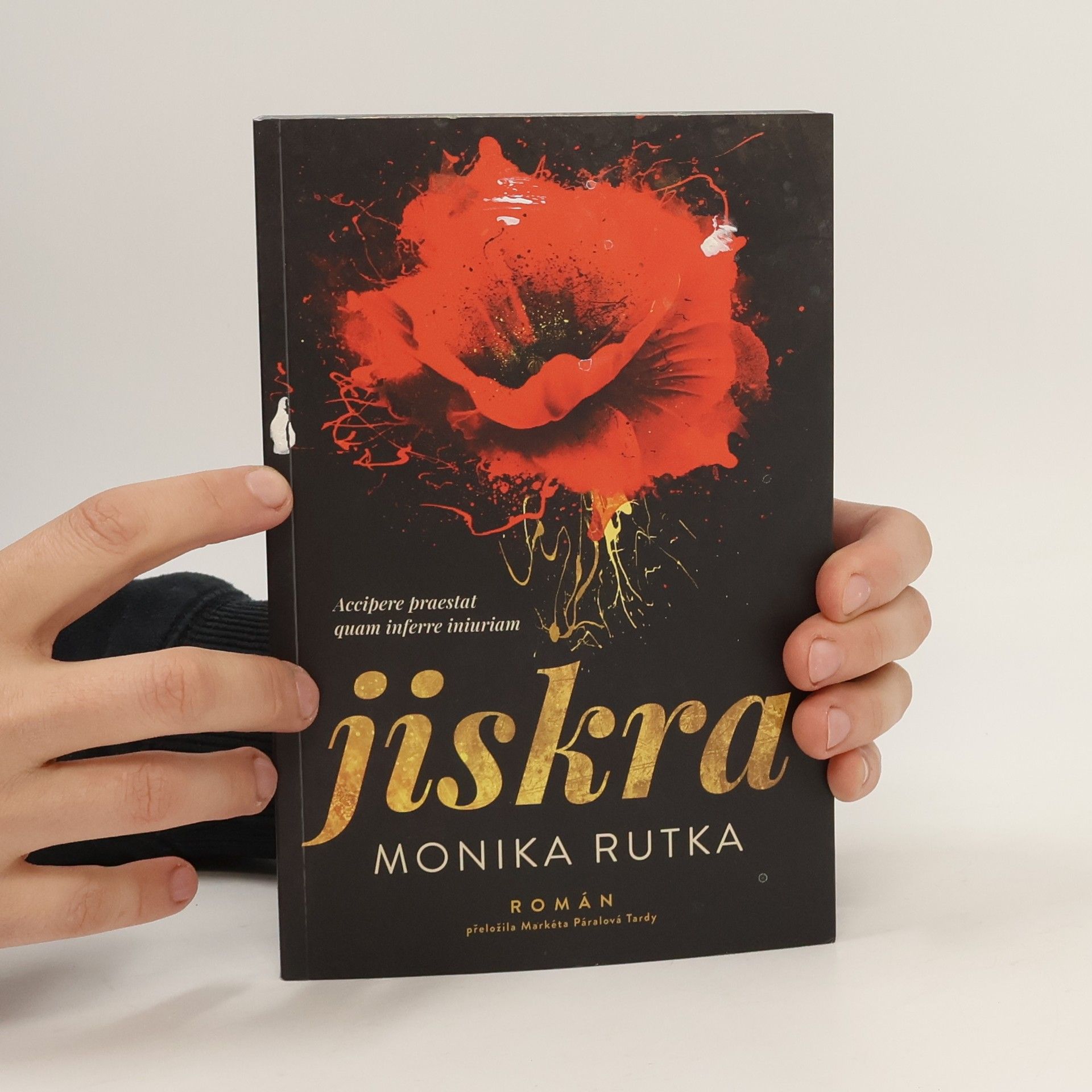Monika Rutka Jiskra