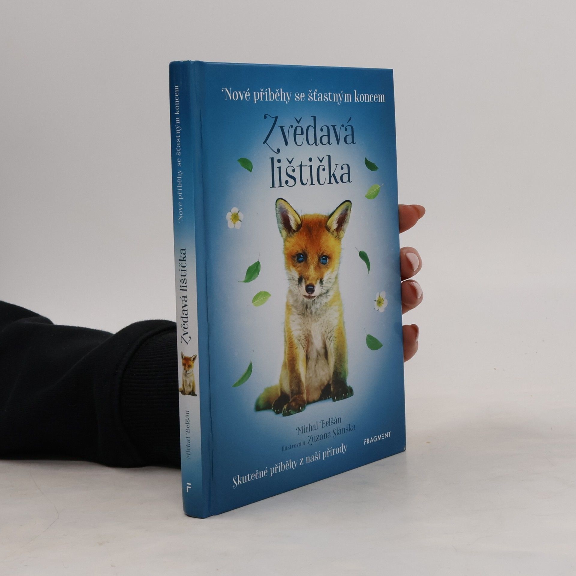 Michal Belšán Zvědavá lištička