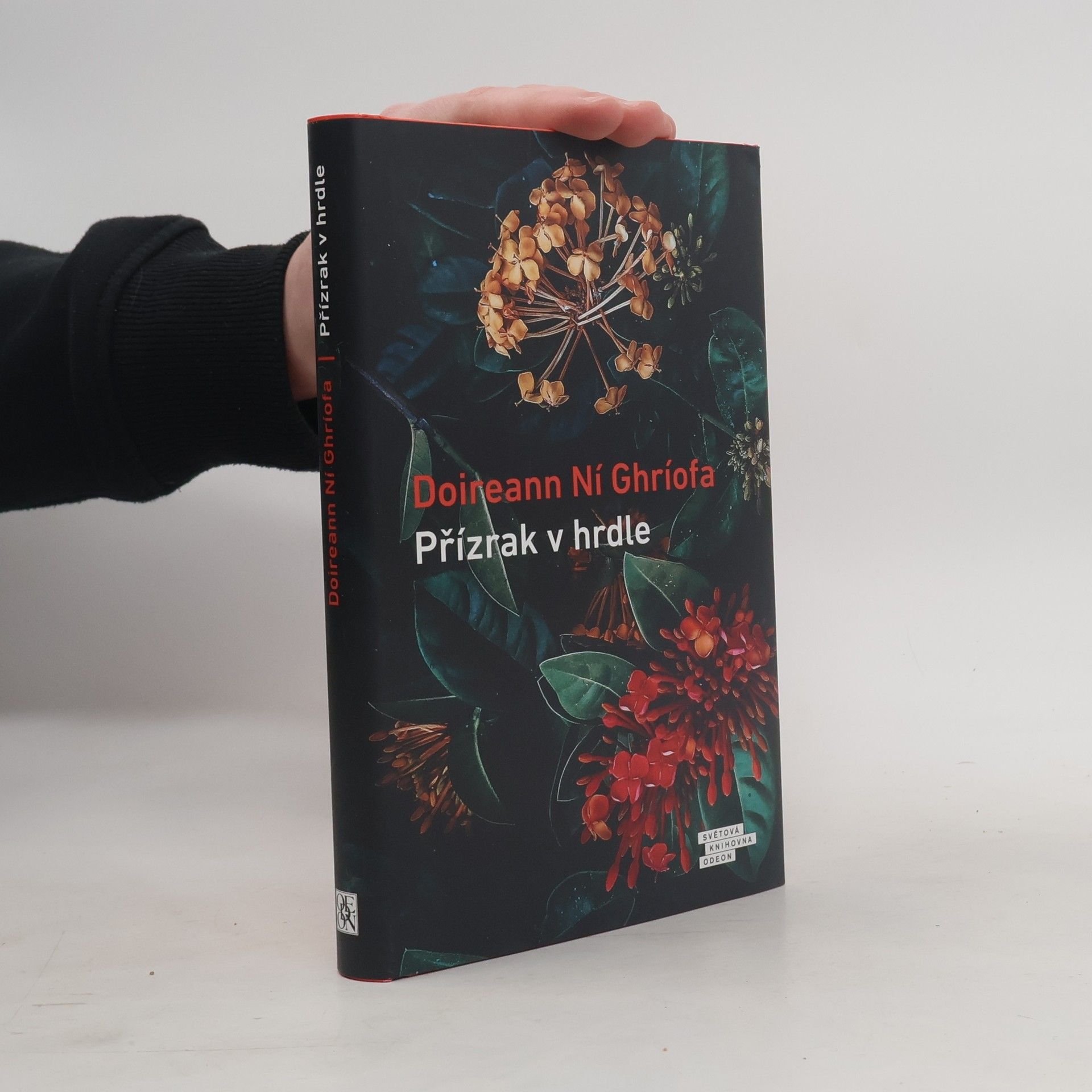 Doireann Ní Ghríofa Přízrak v hrdle