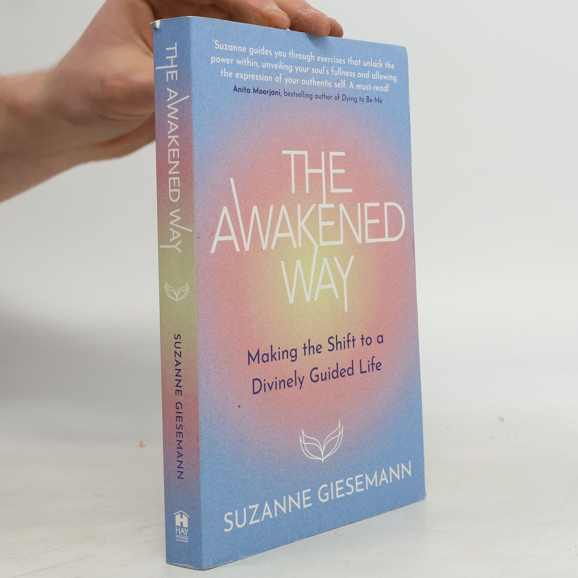 Suzanne Giesemann The Awakened Way