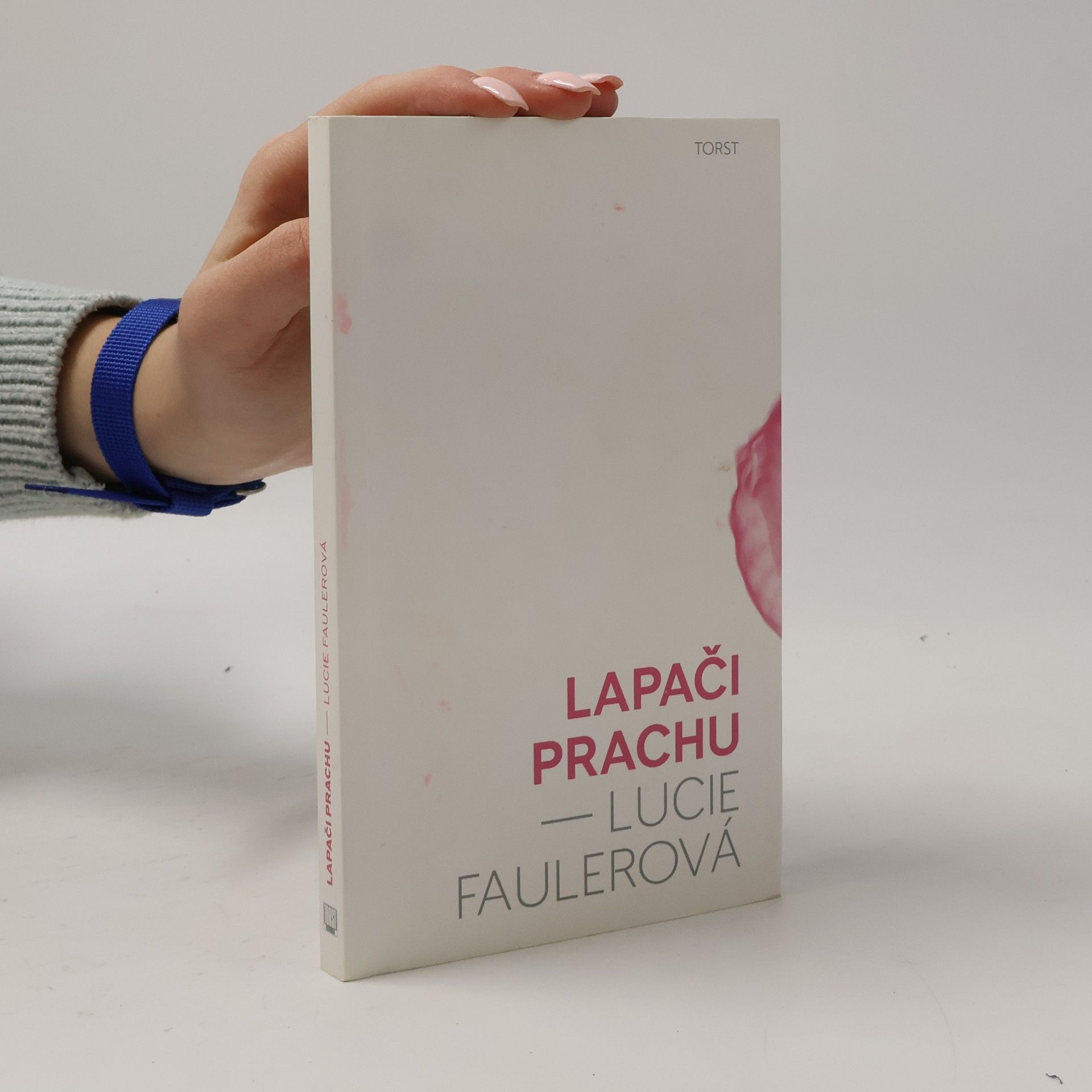 Lucie Faulerová Lapači prachu