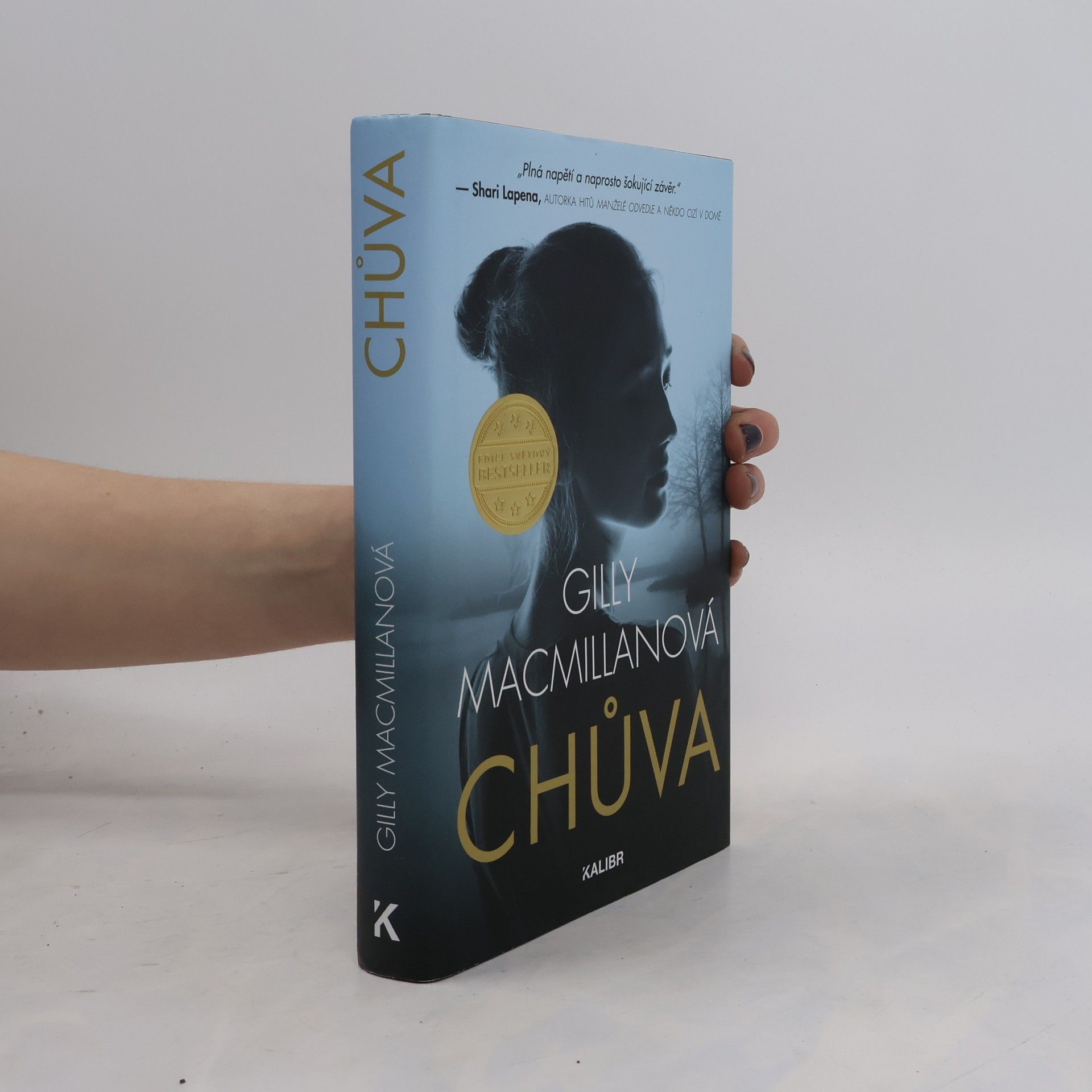 Gilly Macmillan Chůva