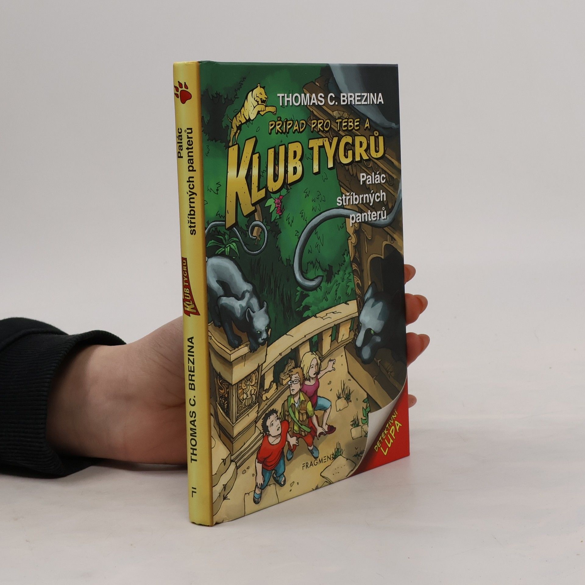 Thomas Brezina Palác stříbrných panterů
