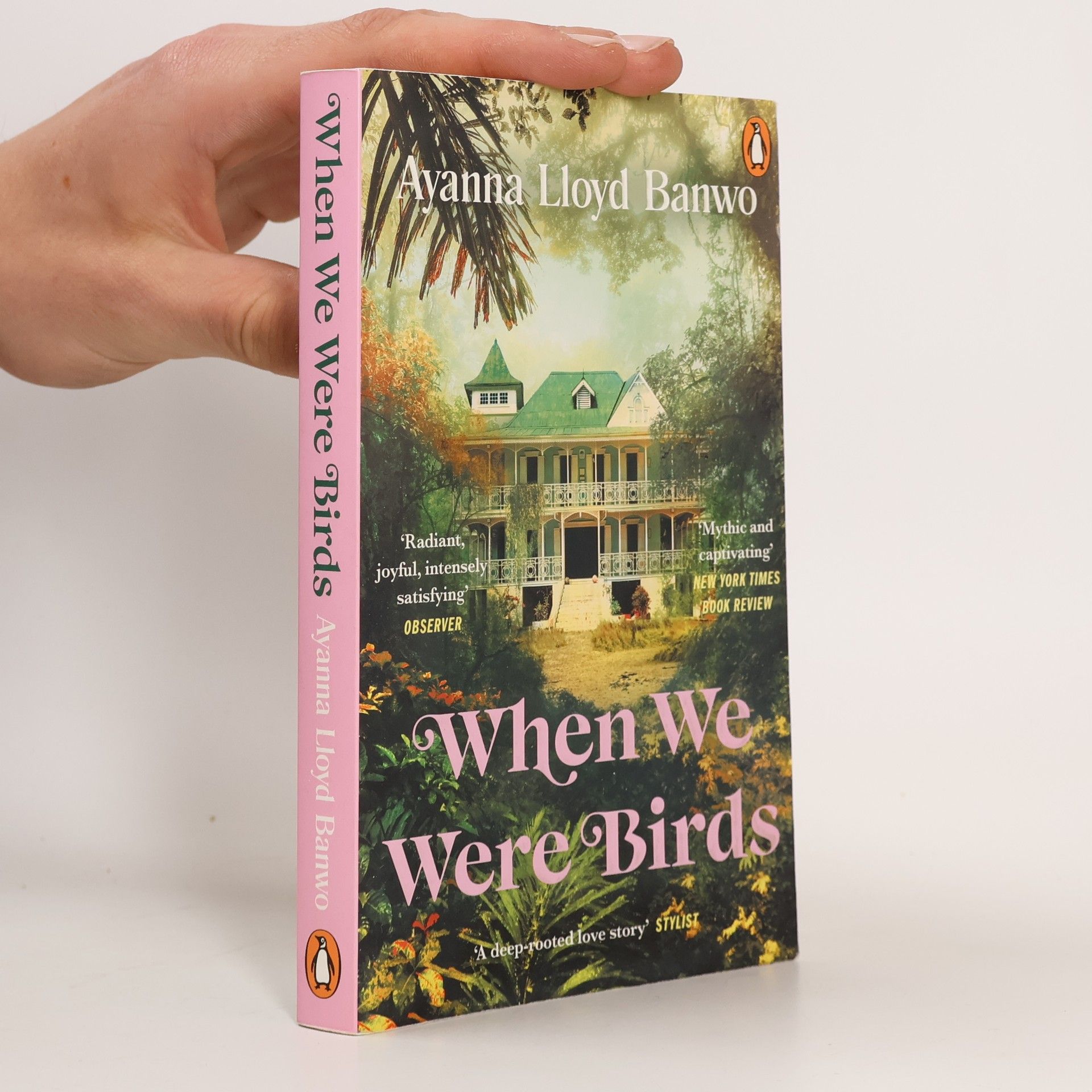 Ayanna Lloyd Banwo When We Were Birds