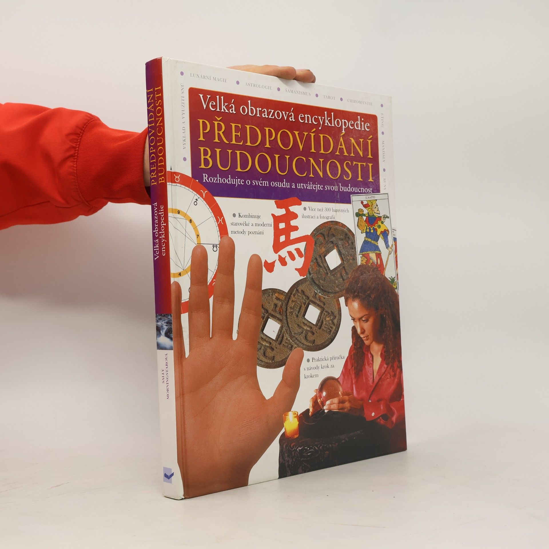 Sally Morningstar Velká obrazová encyklopedie. Předpovídání budoucnosti