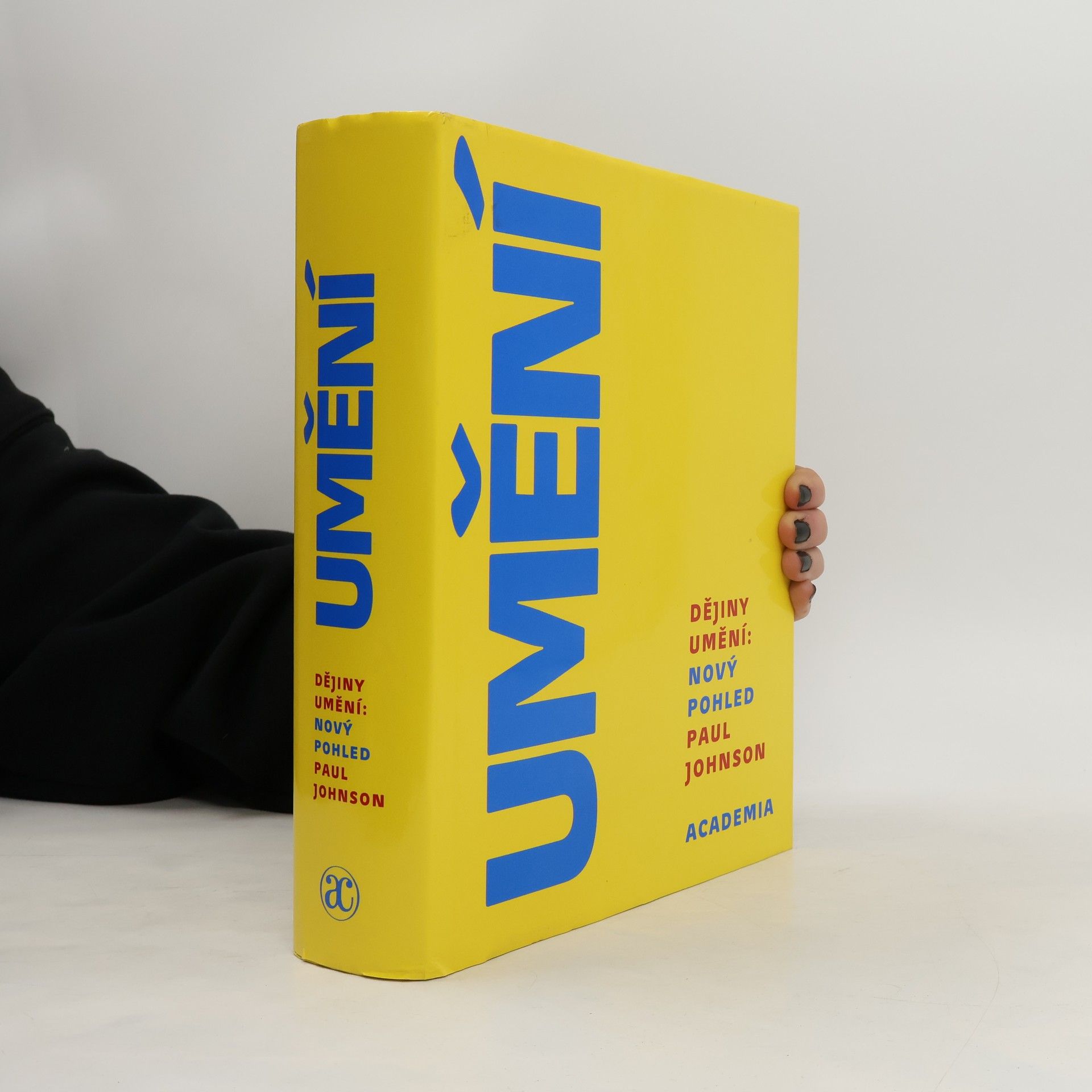 Paul Johnson Dějiny umění: Nový pohled