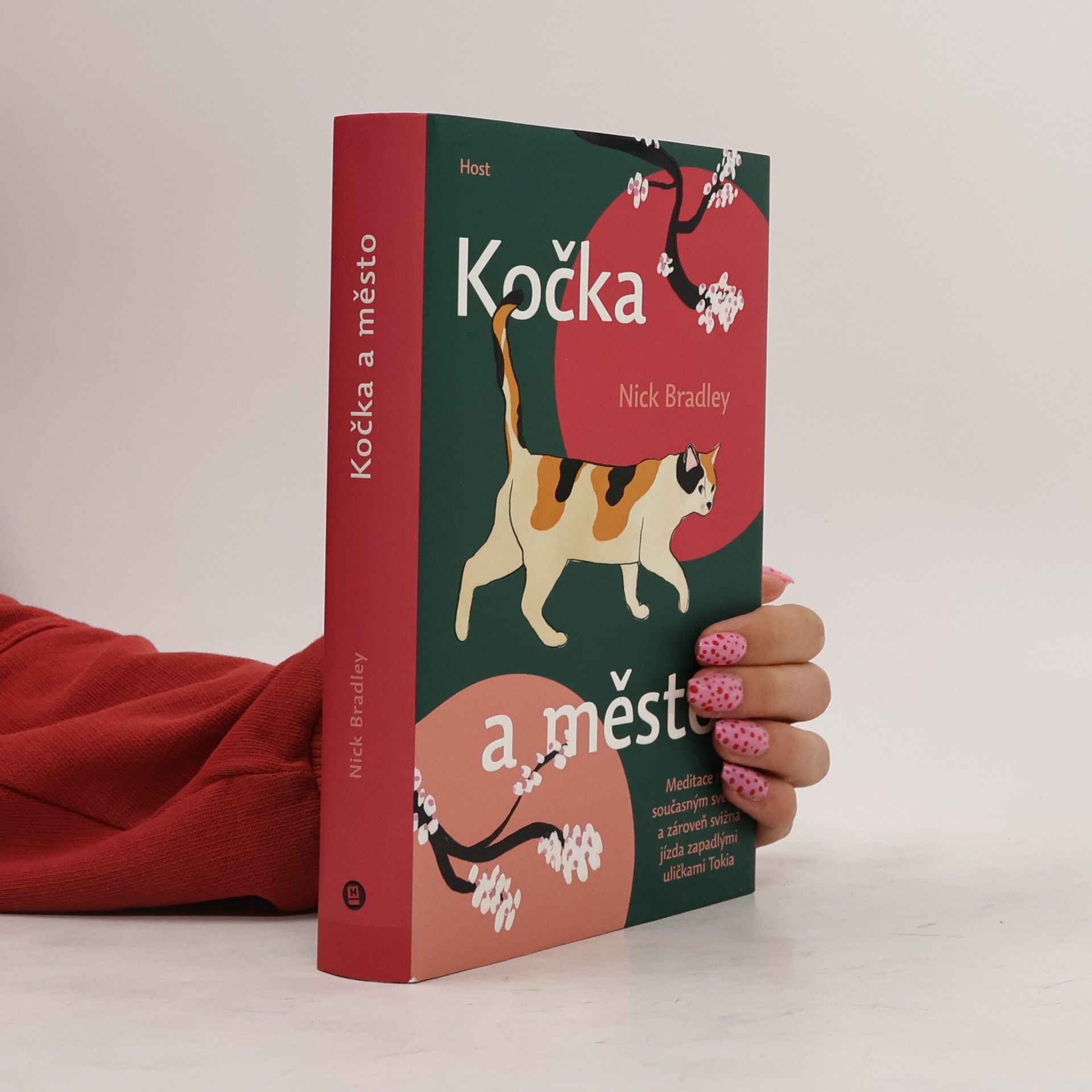 Nick Bradley Kočka a město