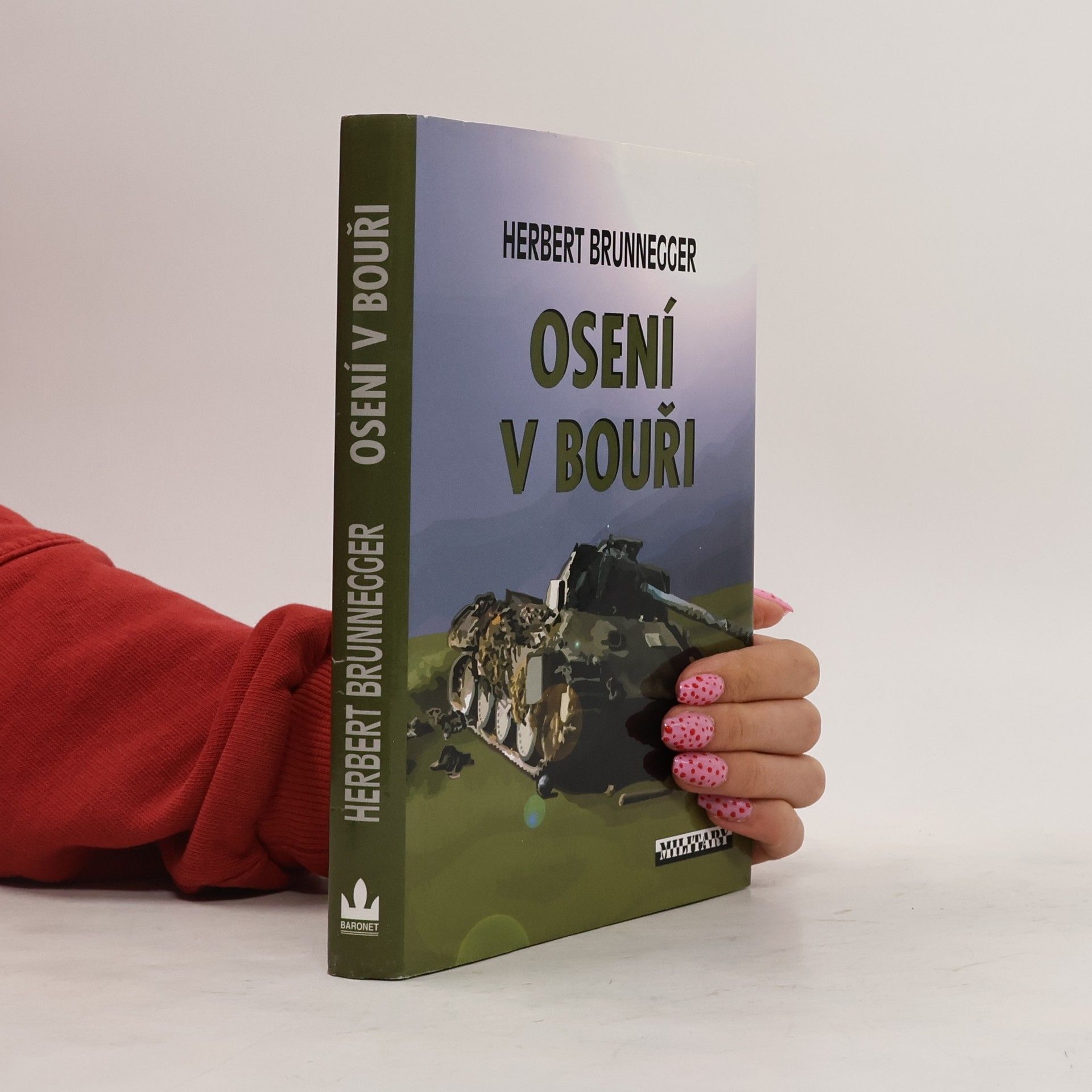 Herbert Brunnegger Osení v bouři