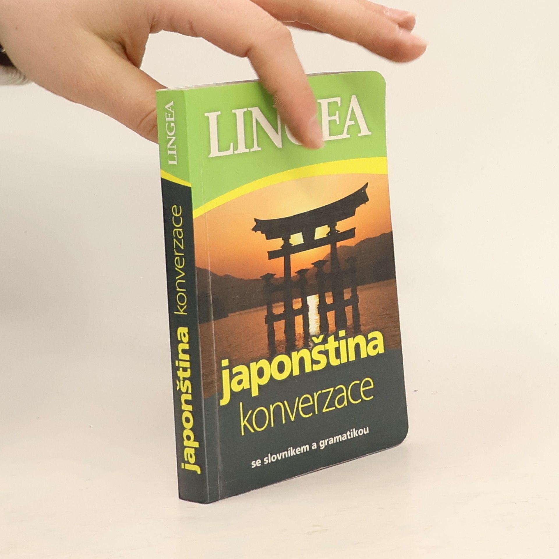 Autorenkollektiv Japonština: Konverzace