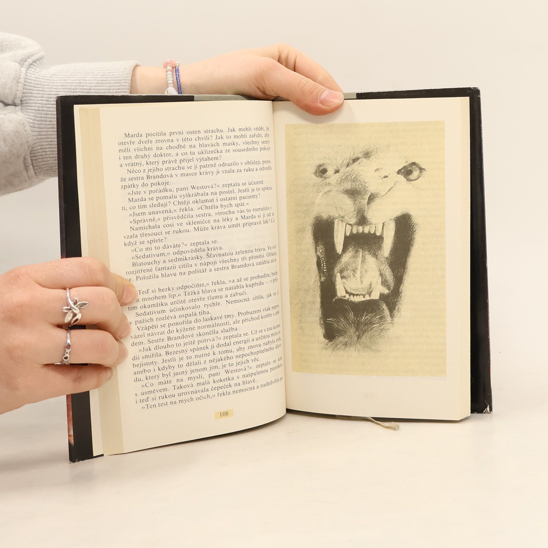 Daphne du Maurier Ptáci a jiné povídky