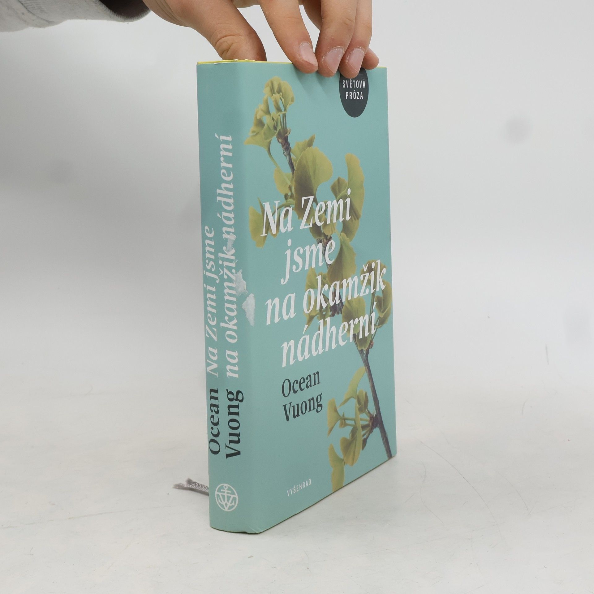 Ocean Vuong Na Zemi jsme na okamžik nádherní