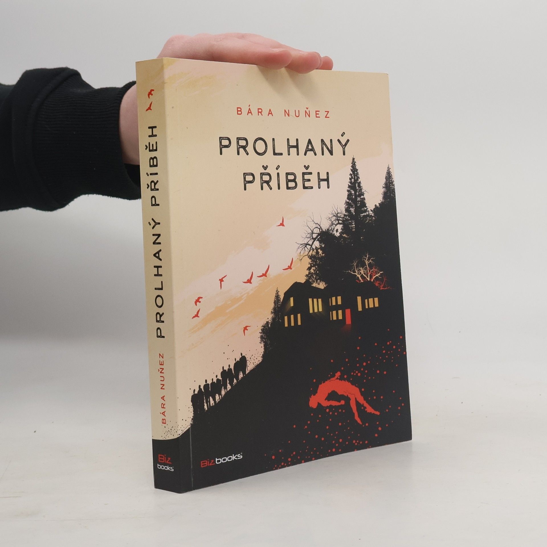 Bára Nuňez Prolhaný příběh
