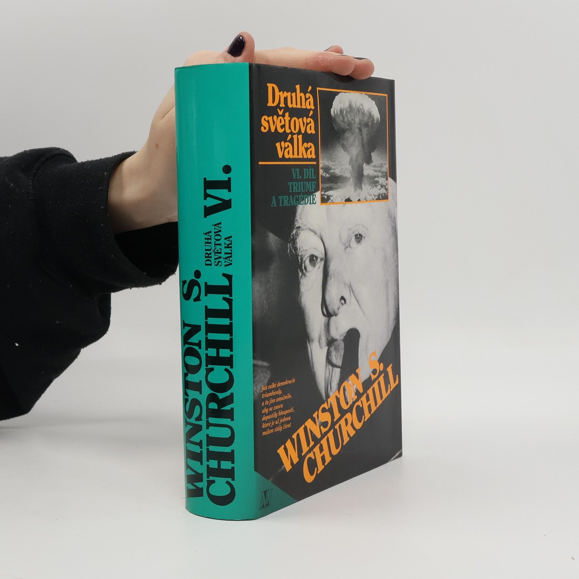 Winston Churchill Druhá světová válka. VI. Triumf a tragédie