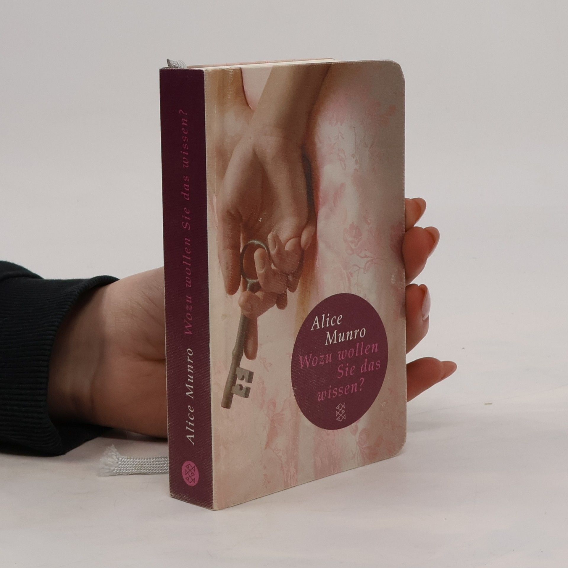 Alice Munro Wozu wollen Sie das wissen?