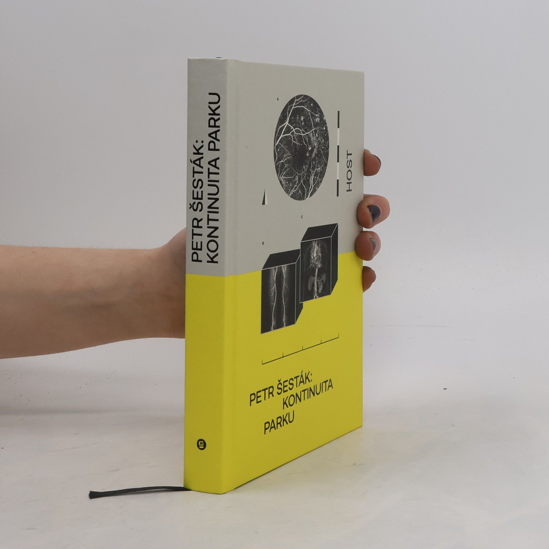 Petr Šesták Kontinuita parku