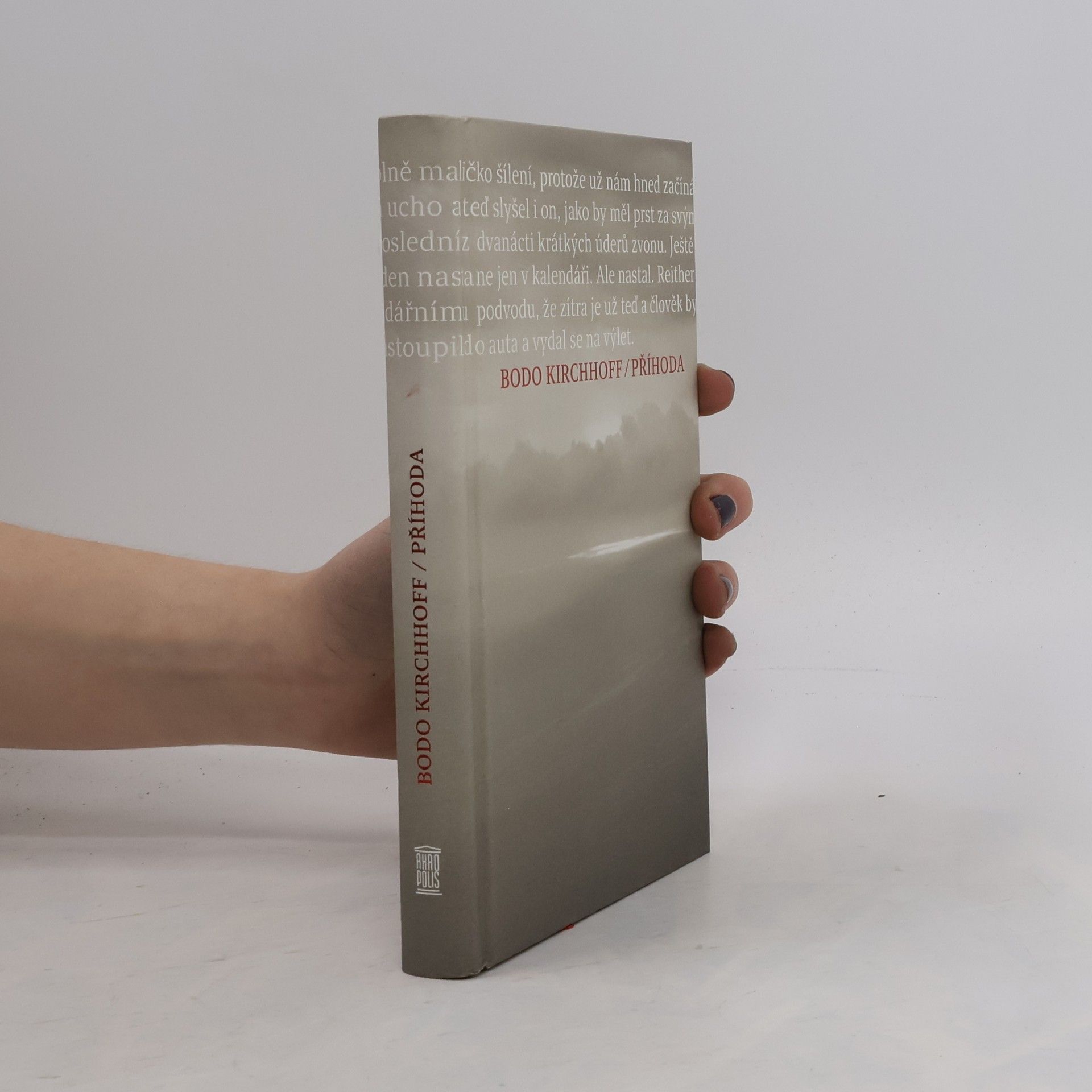 Bodo Kirchhoff Příhoda