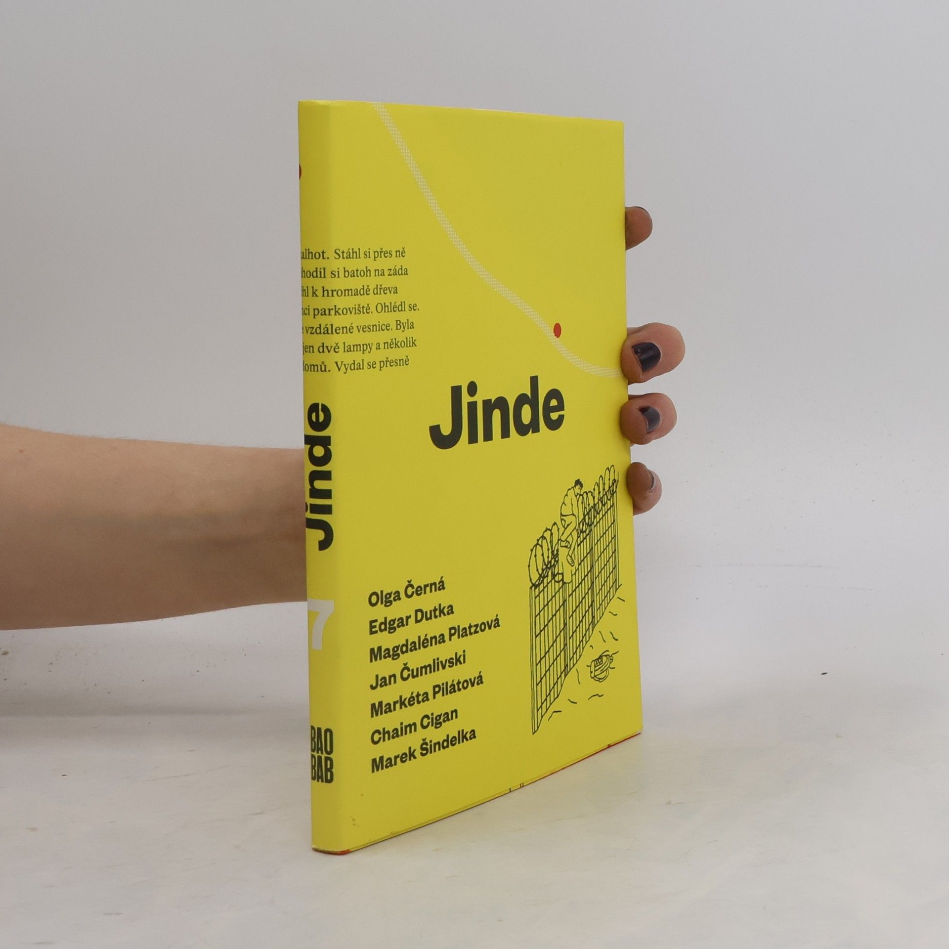 Kolektiv autorů Jinde