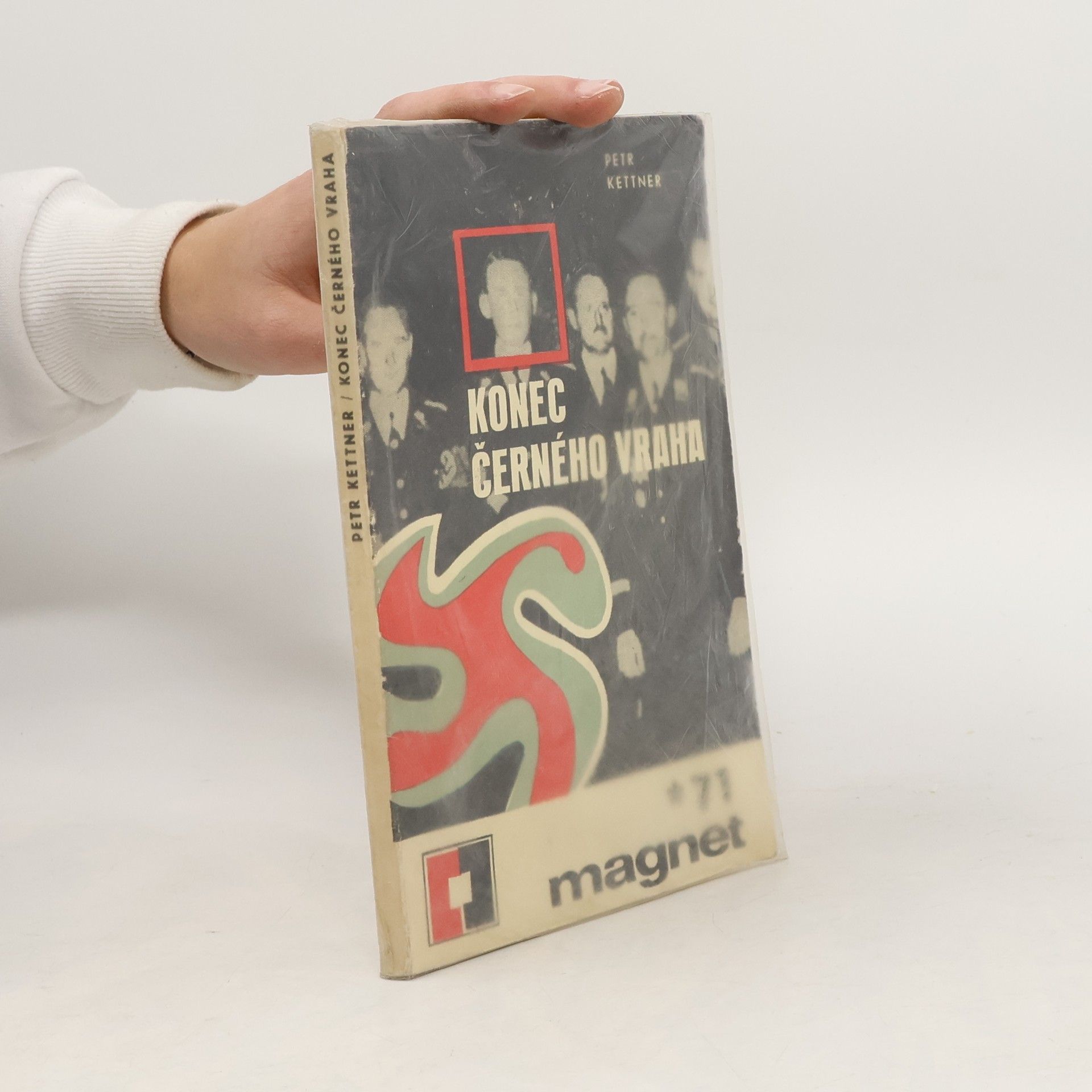 Kolektiv autorů Konec černého vraha