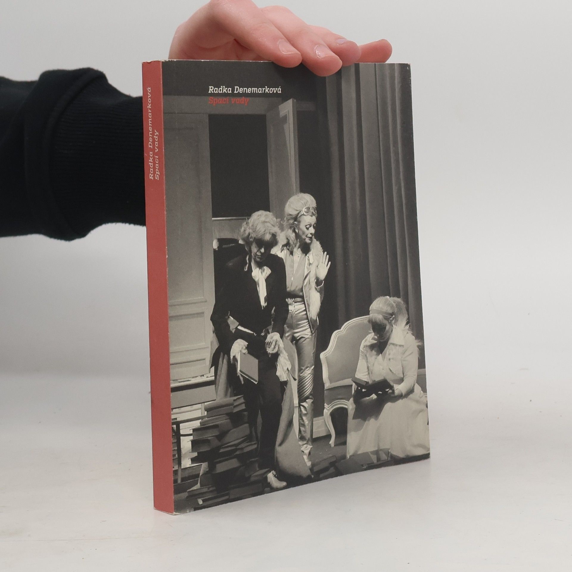 Radka Denemarková Spací vady