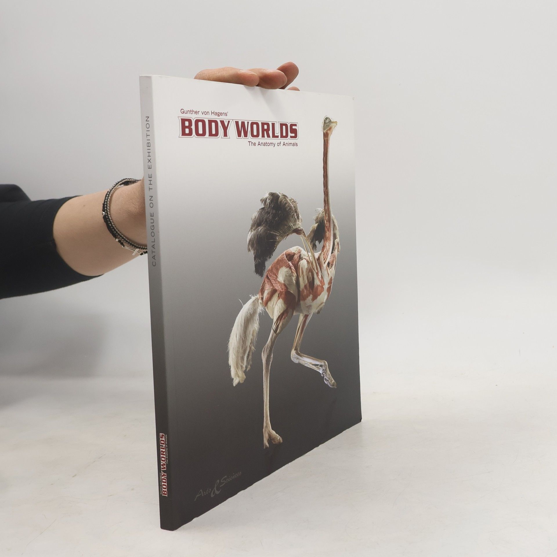Guther von Hagens Body Worlds