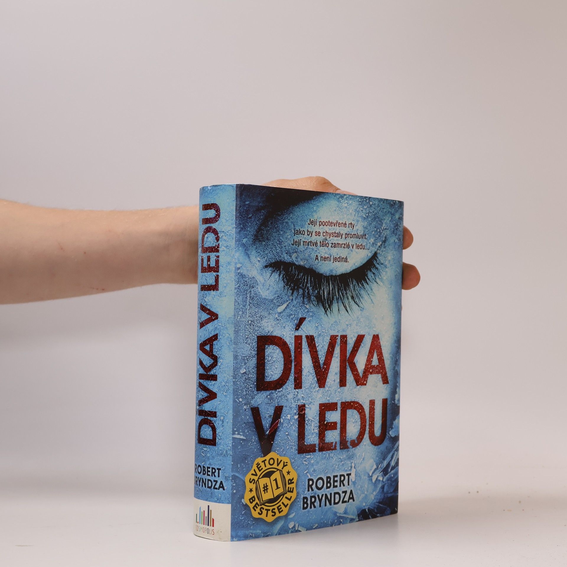Robert Bryndza Dívka v ledu