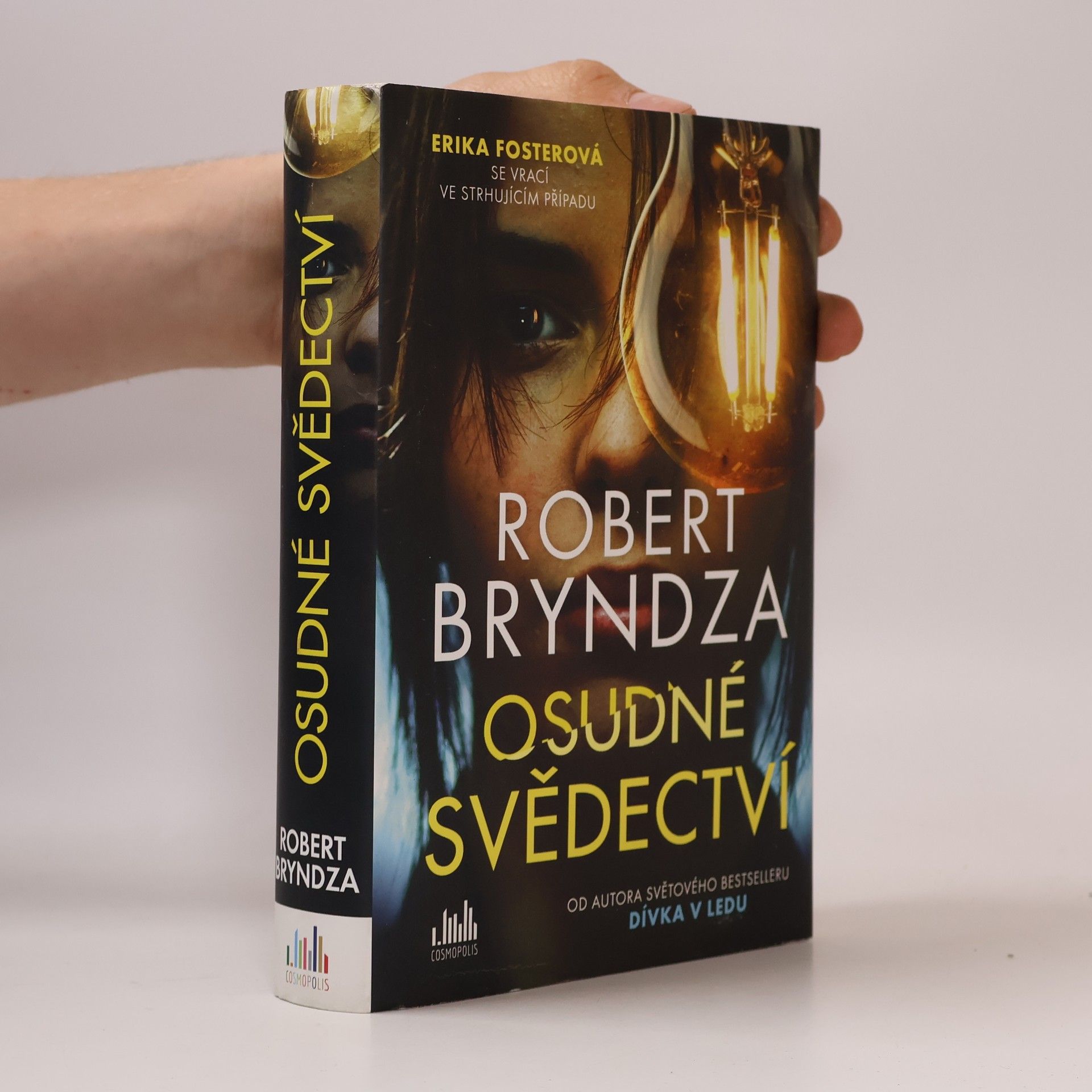 Robert Bryndza Osudné svědectví