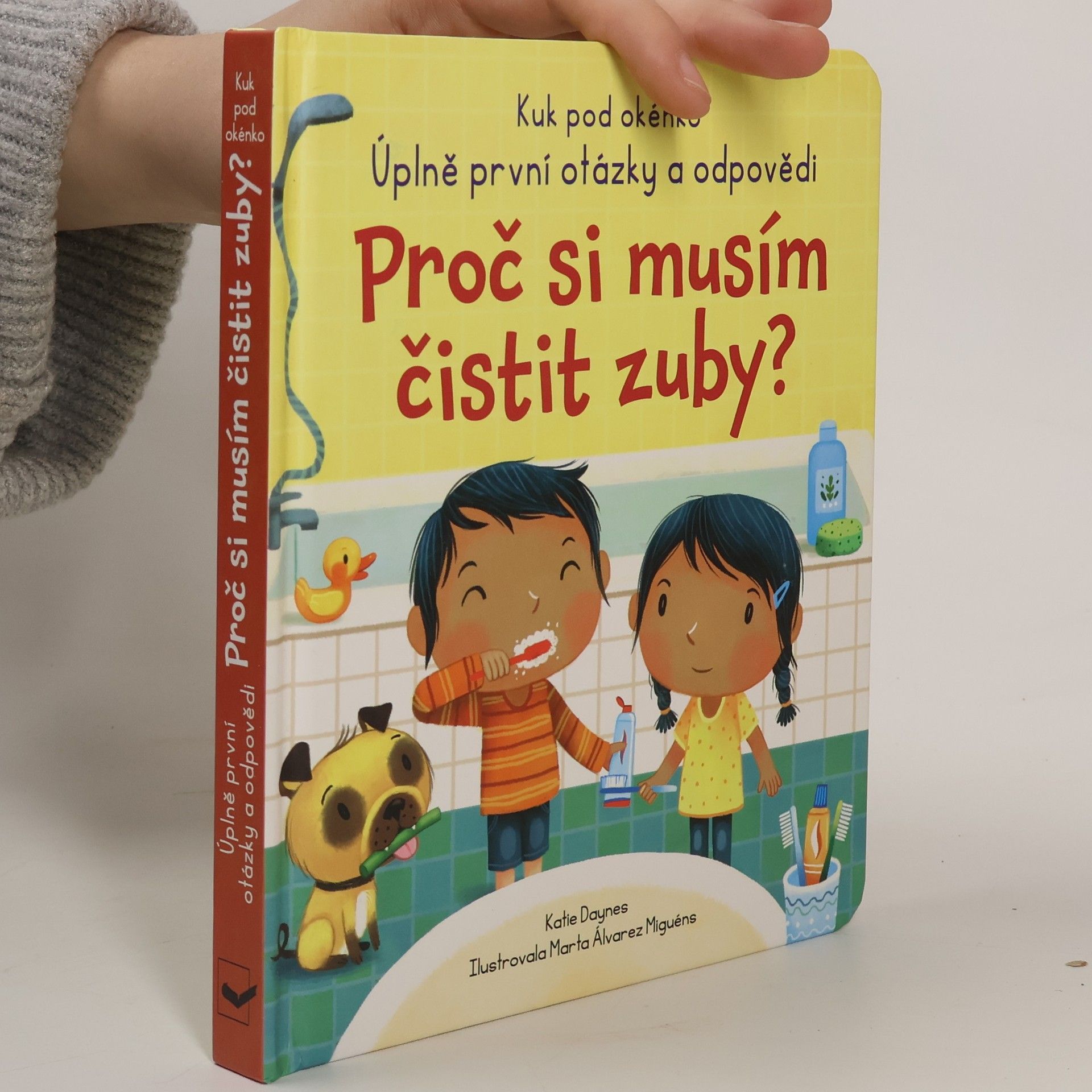 Katie Daynes Proč si musím čistit zuby?