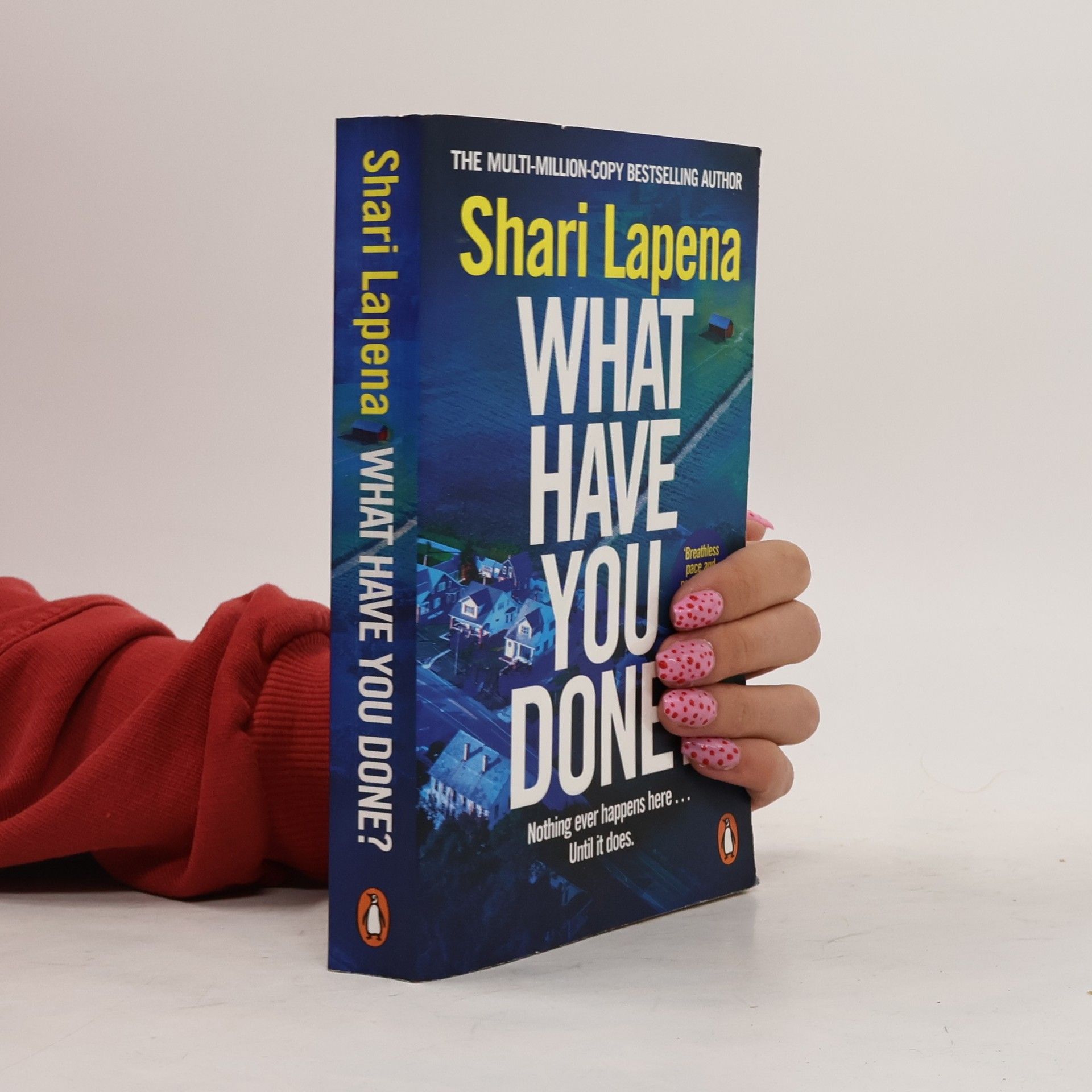 Shari Lapena What Have You Done?