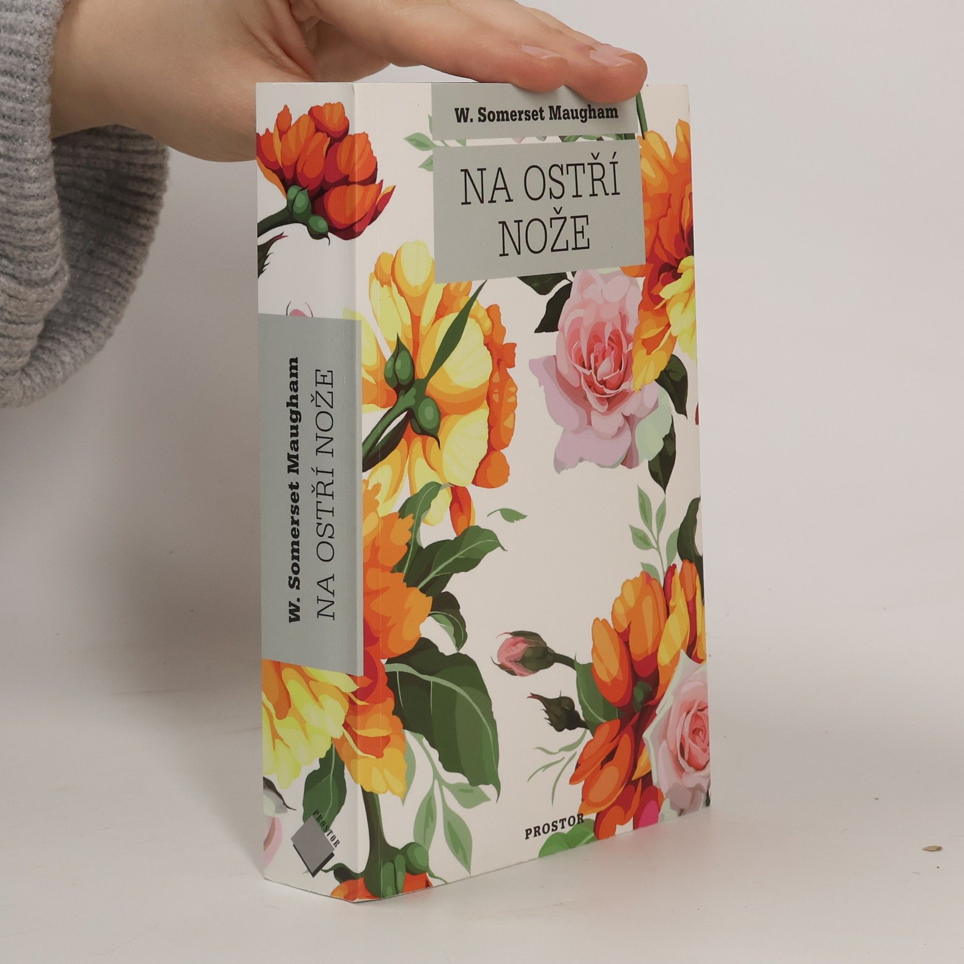 Dagmar Stein Na ostří nože