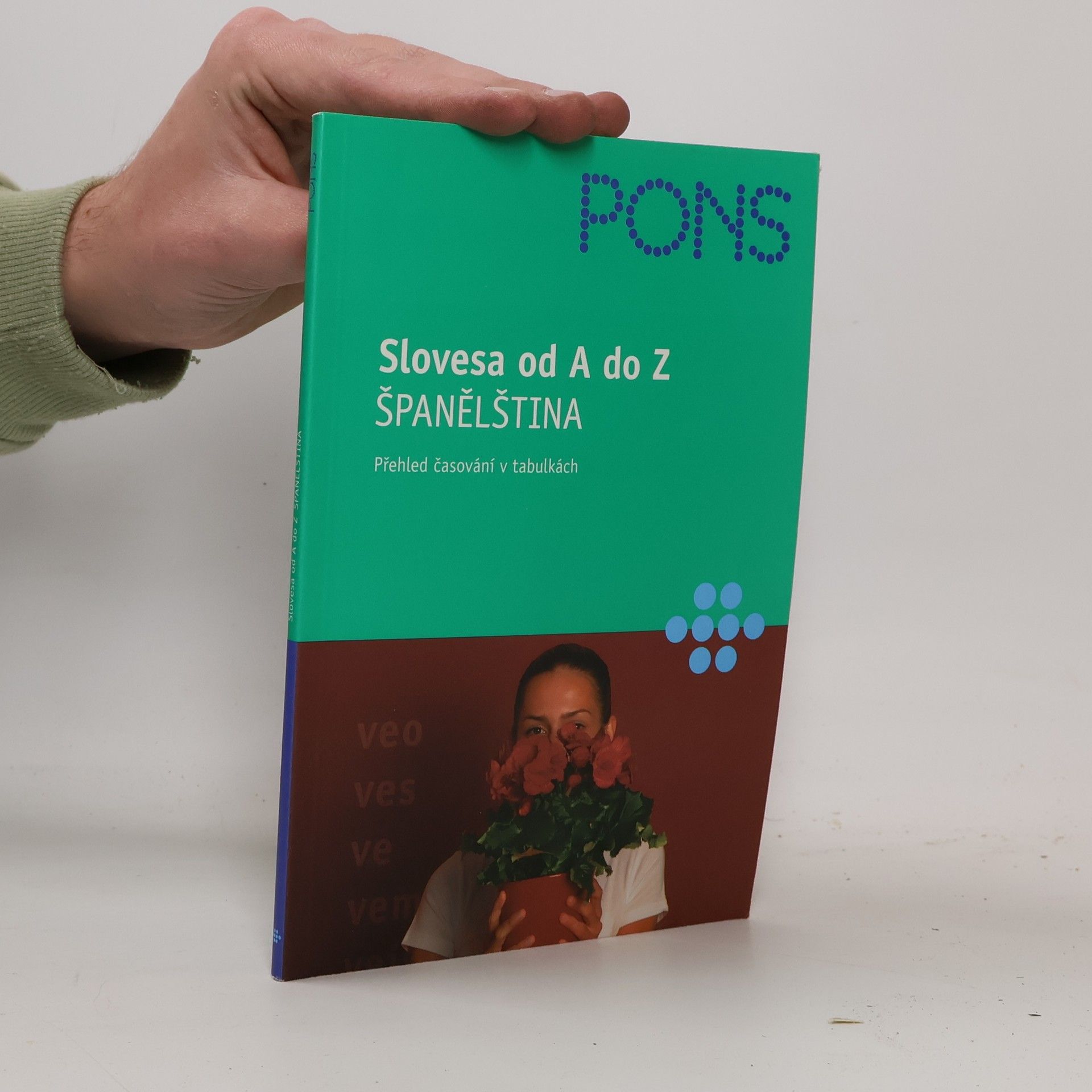 Carlos Segoviano Slovesa od A do Z. Španělština