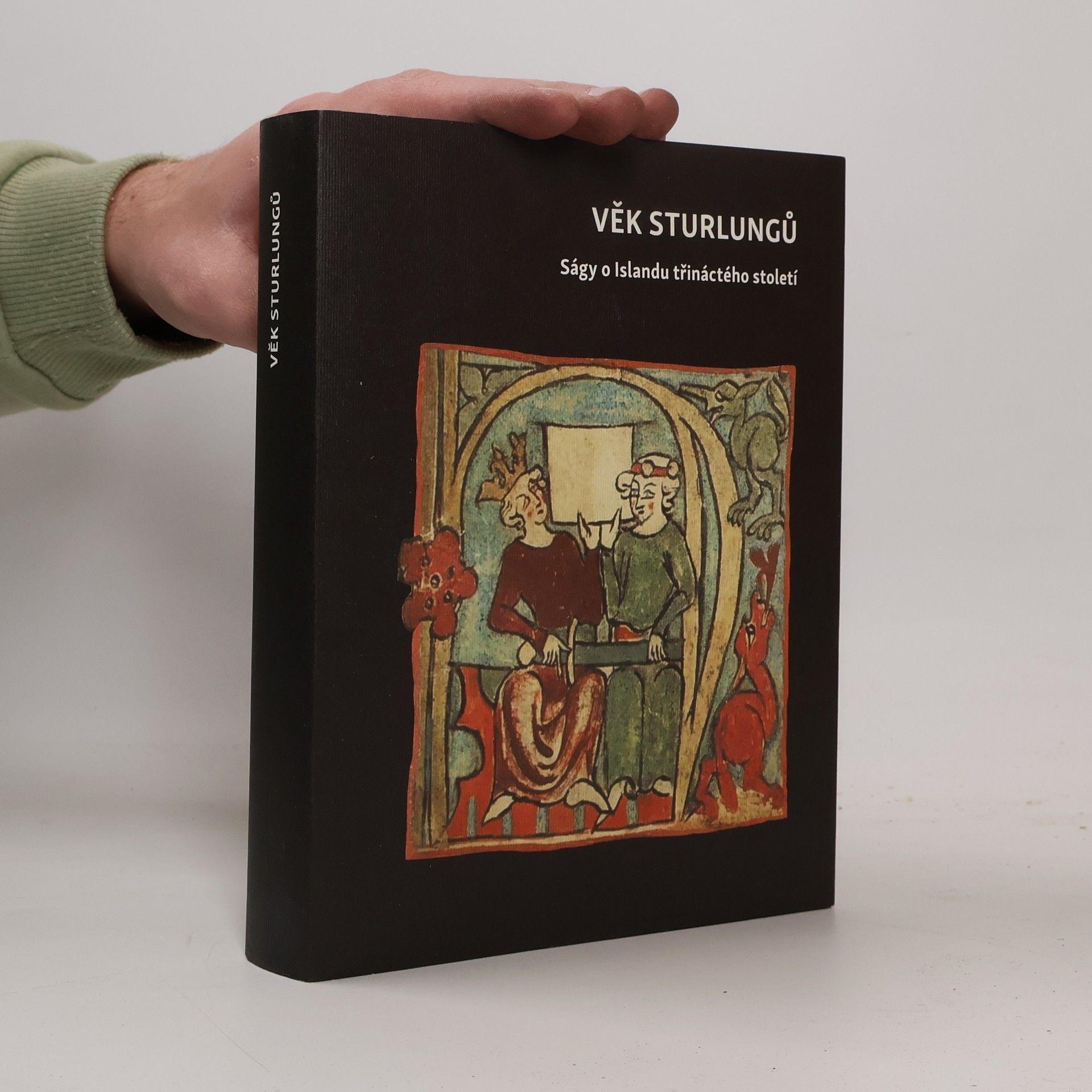 Kolektiv autorů Věk Sturlungů: Ságy o Islandu třináctého století