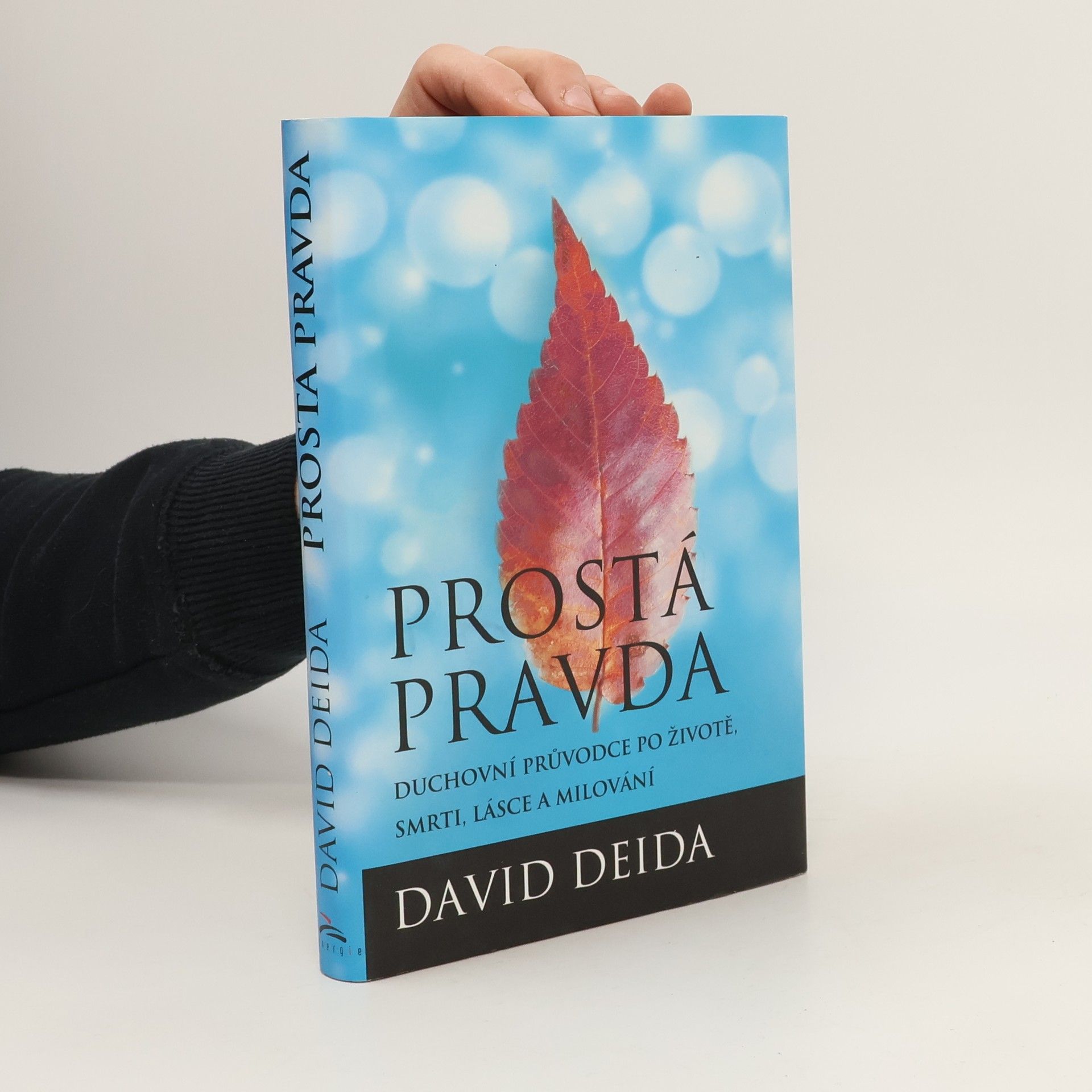 David Deida Prostá pravda