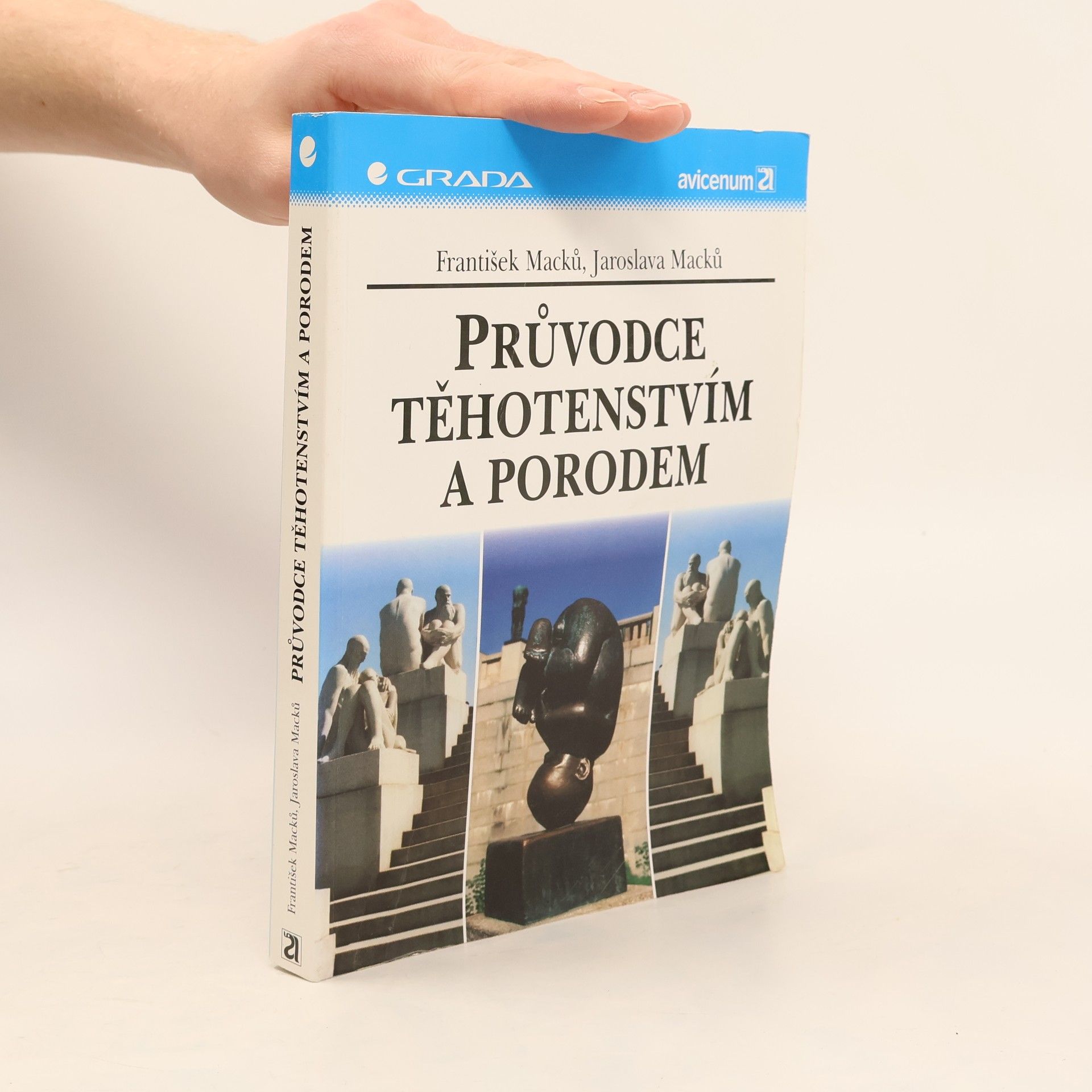 Průvodce těhotenstvím a porodem