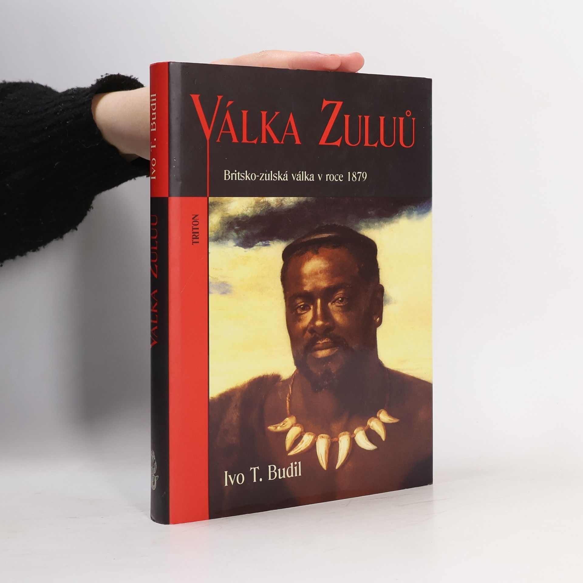 Válka Zuluů : britsko-zulská válka v roce 1879